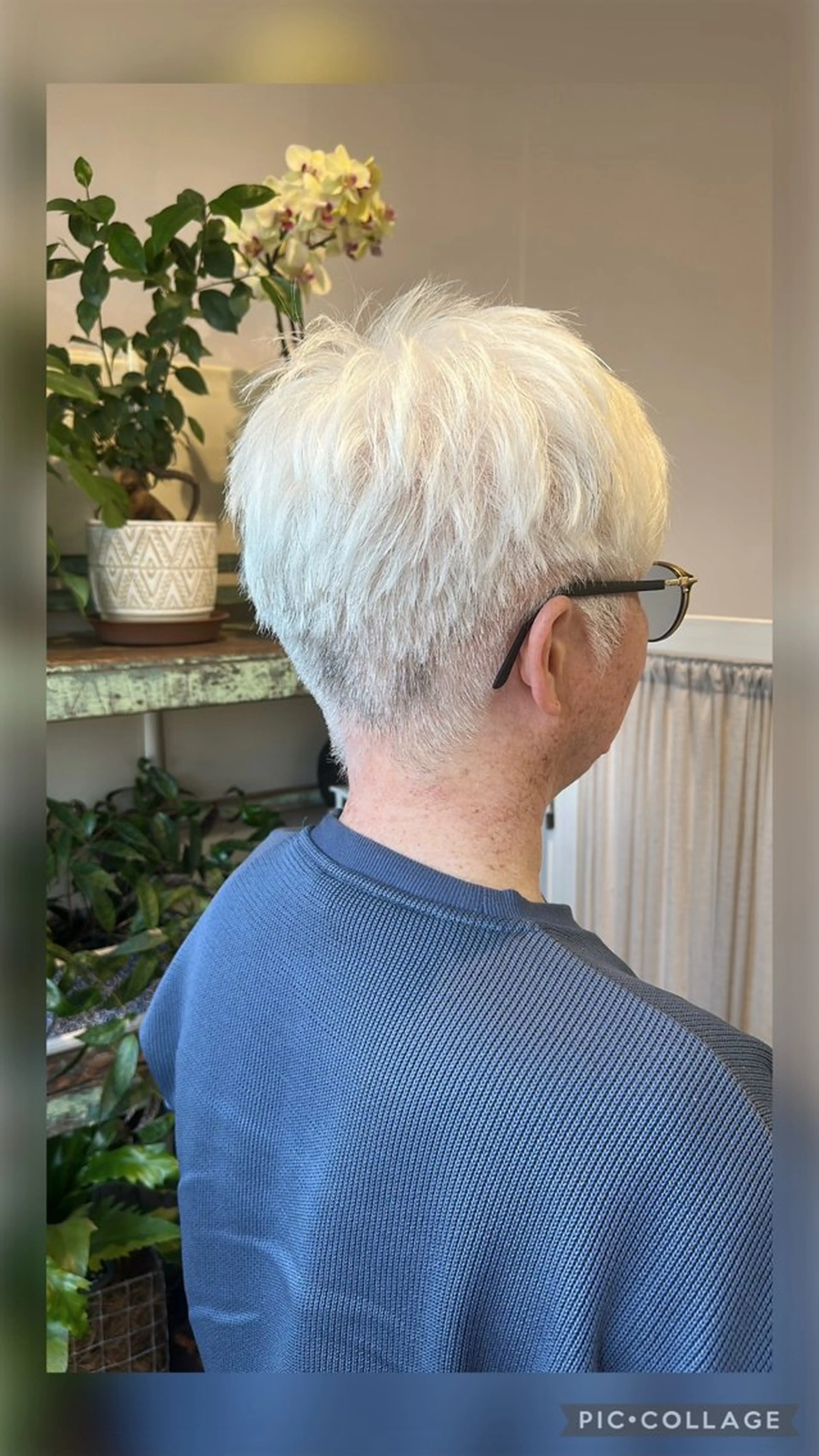 ショート カット Yoshida Yukoのヘアスタイル