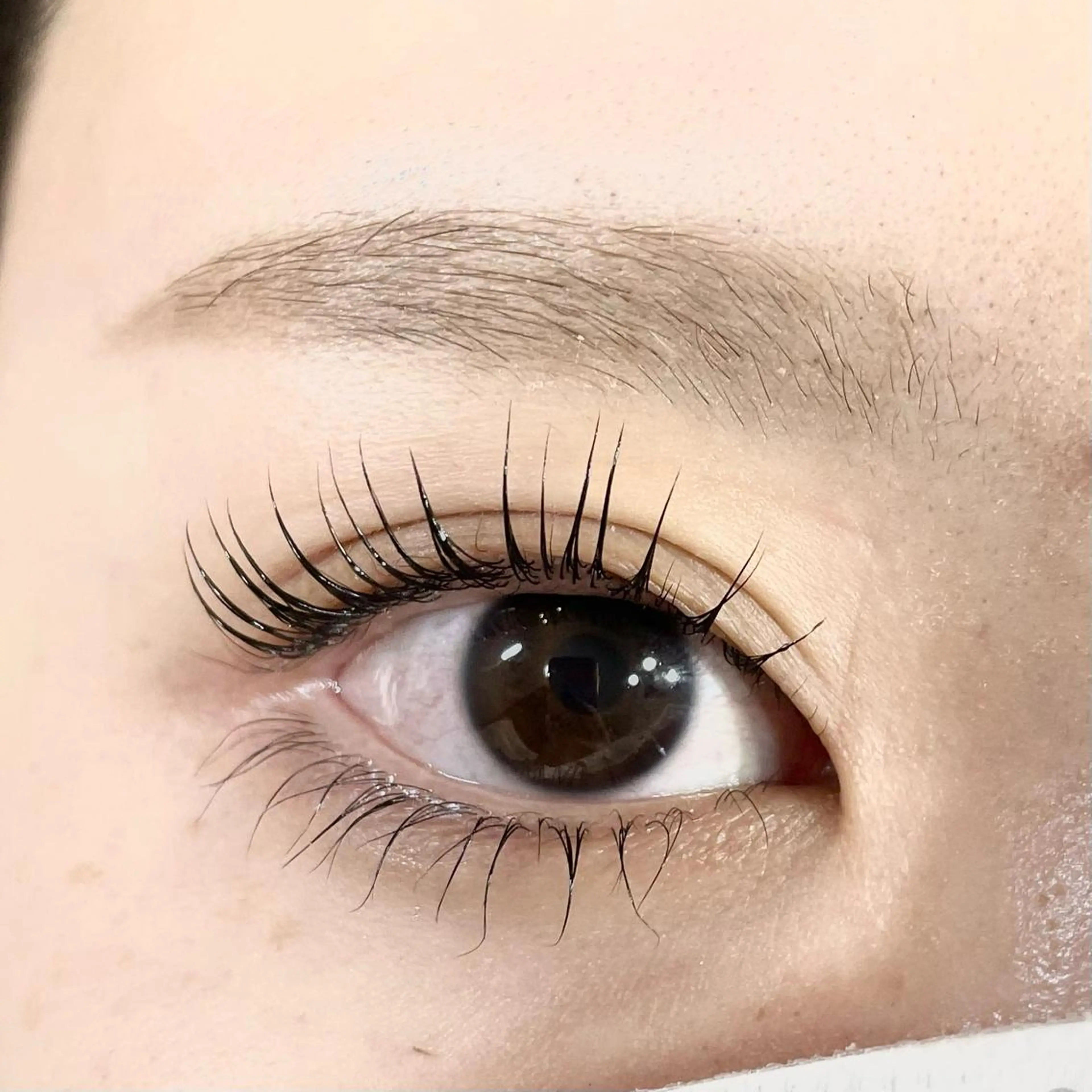 マツエク・マツパ マツパ 当日◎中目黒 まつげまゆげサロンのマツエク・マツパデザイン