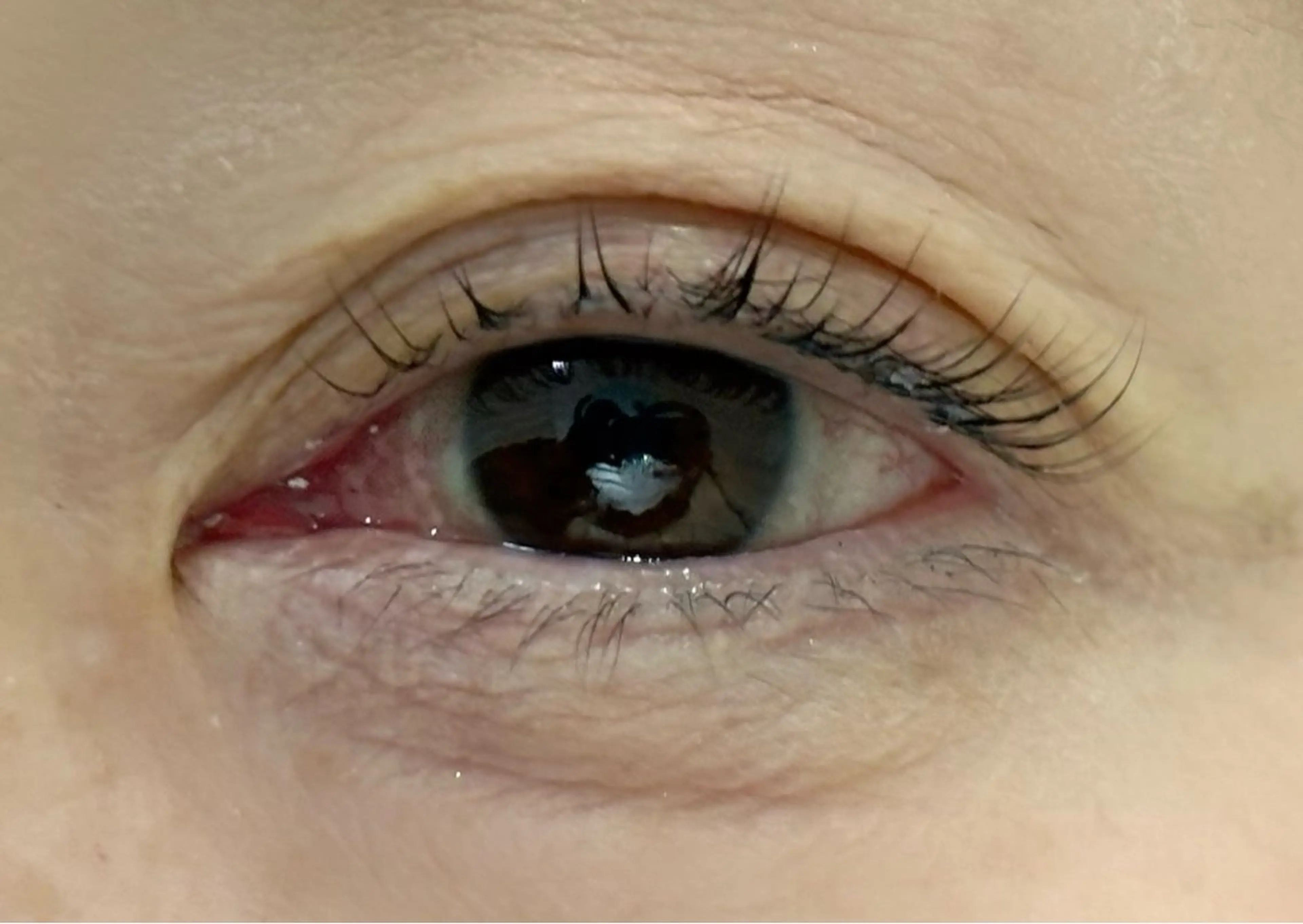 マツエク・マツパ tres AYANEのマツエク・マツパデザイン