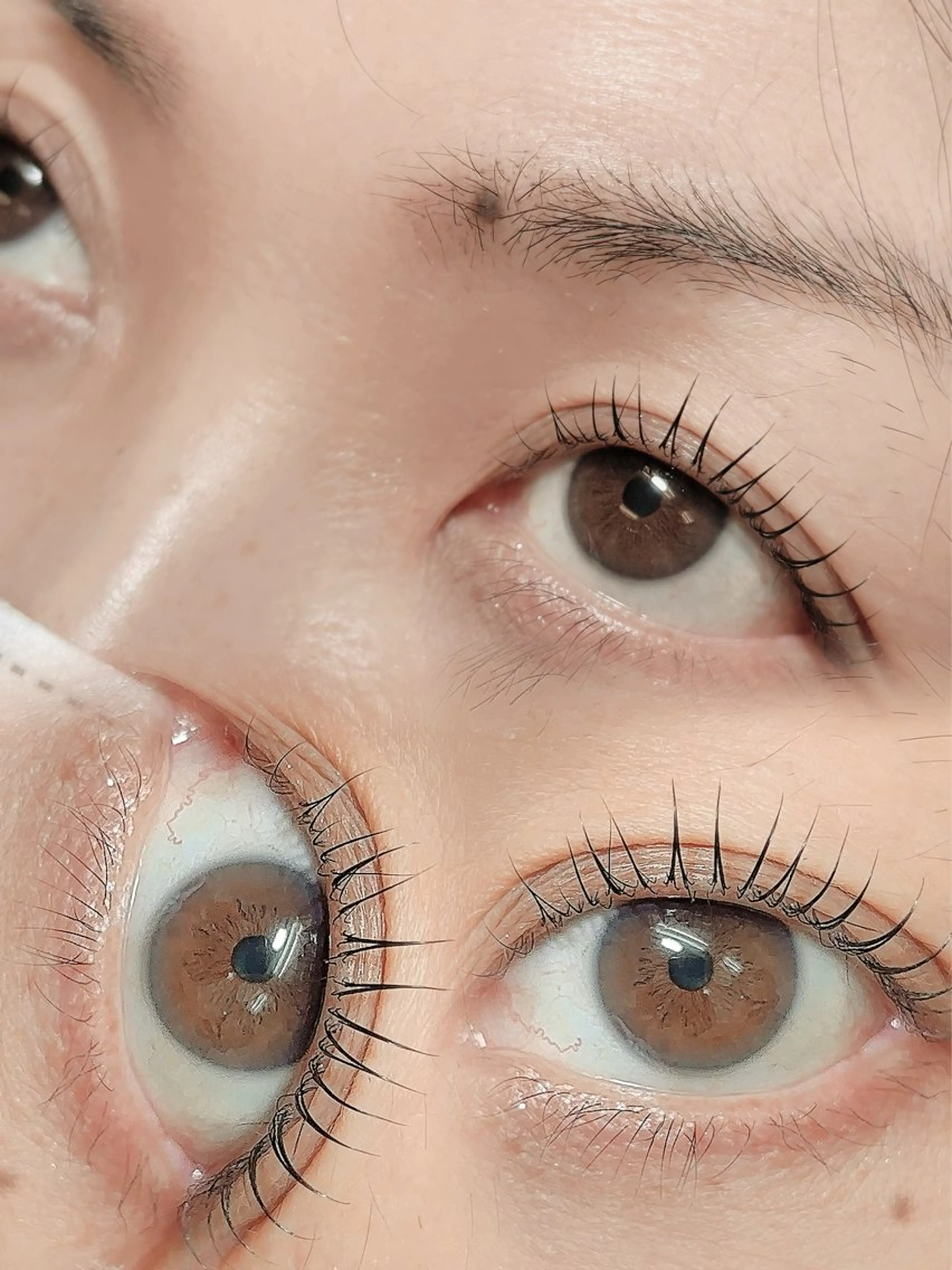 マツエク・マツパ まつげパーマ Uto🦖💖한국 まつパ/自由が丘🦋のマツエク・マツパデザイン