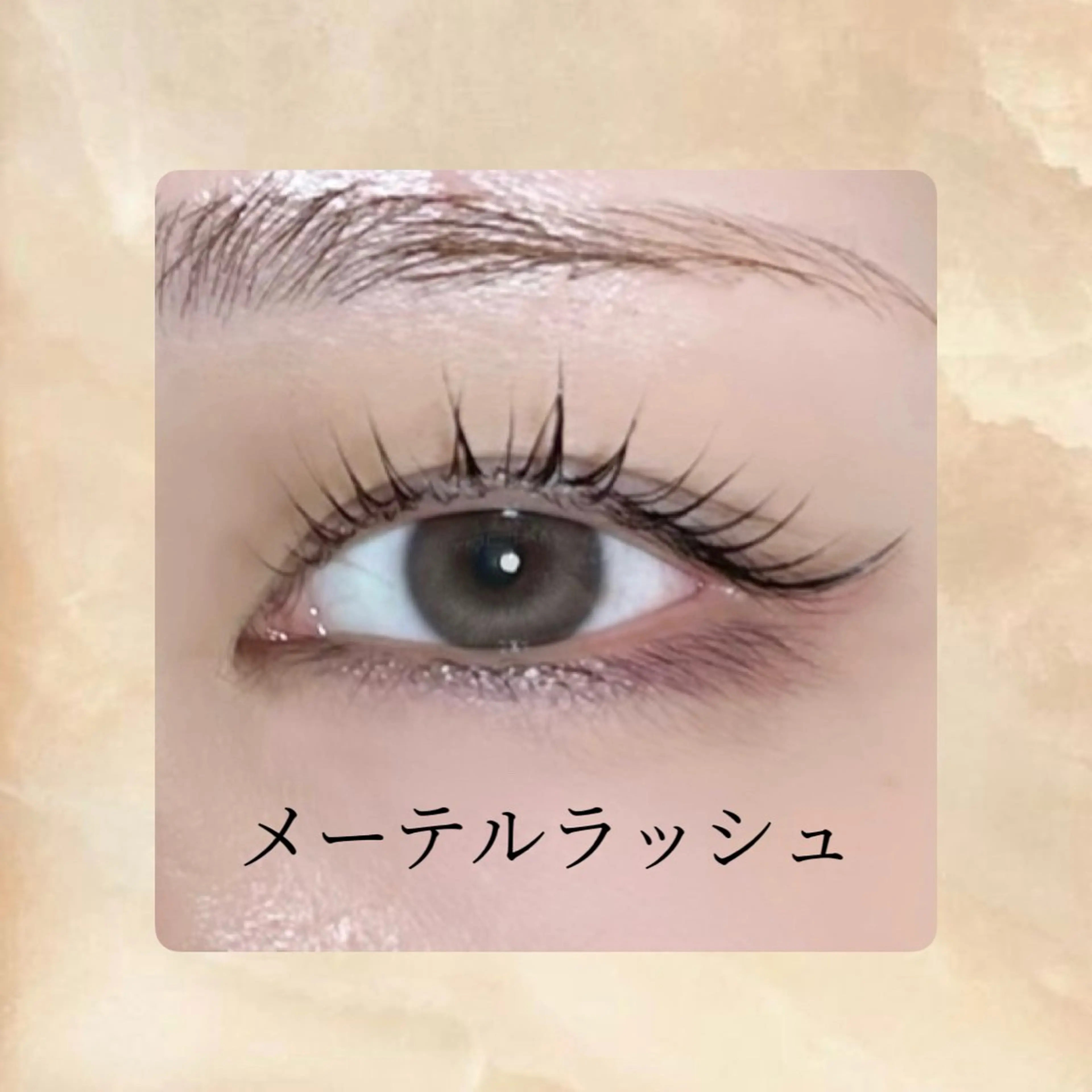 【まつげパーマ🌟ダウンxラッシュ】メーテルラッシュ¥3,480の写真