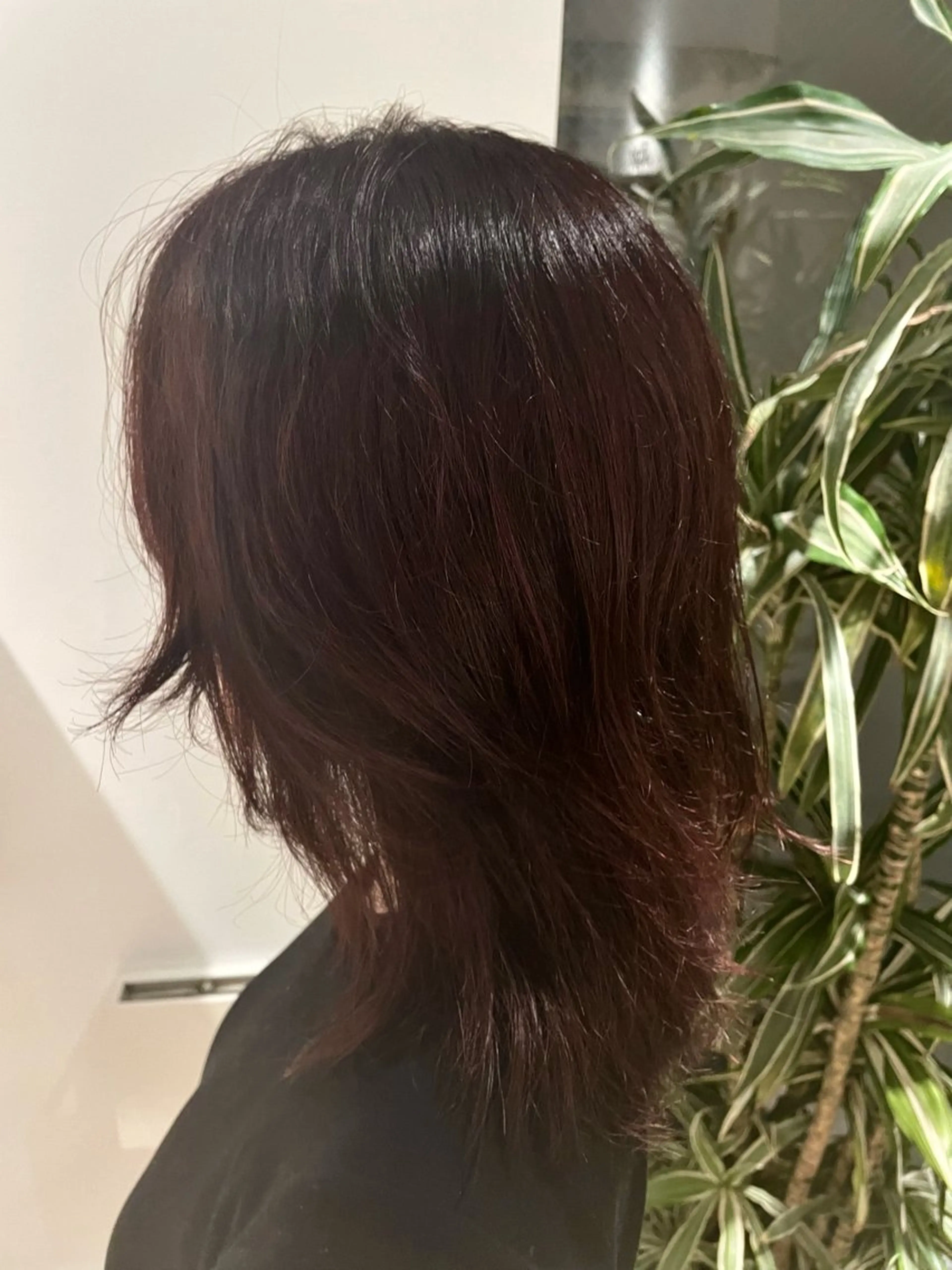 カラー ふくだももこ🍑 すっきりショートのヘアスタイル