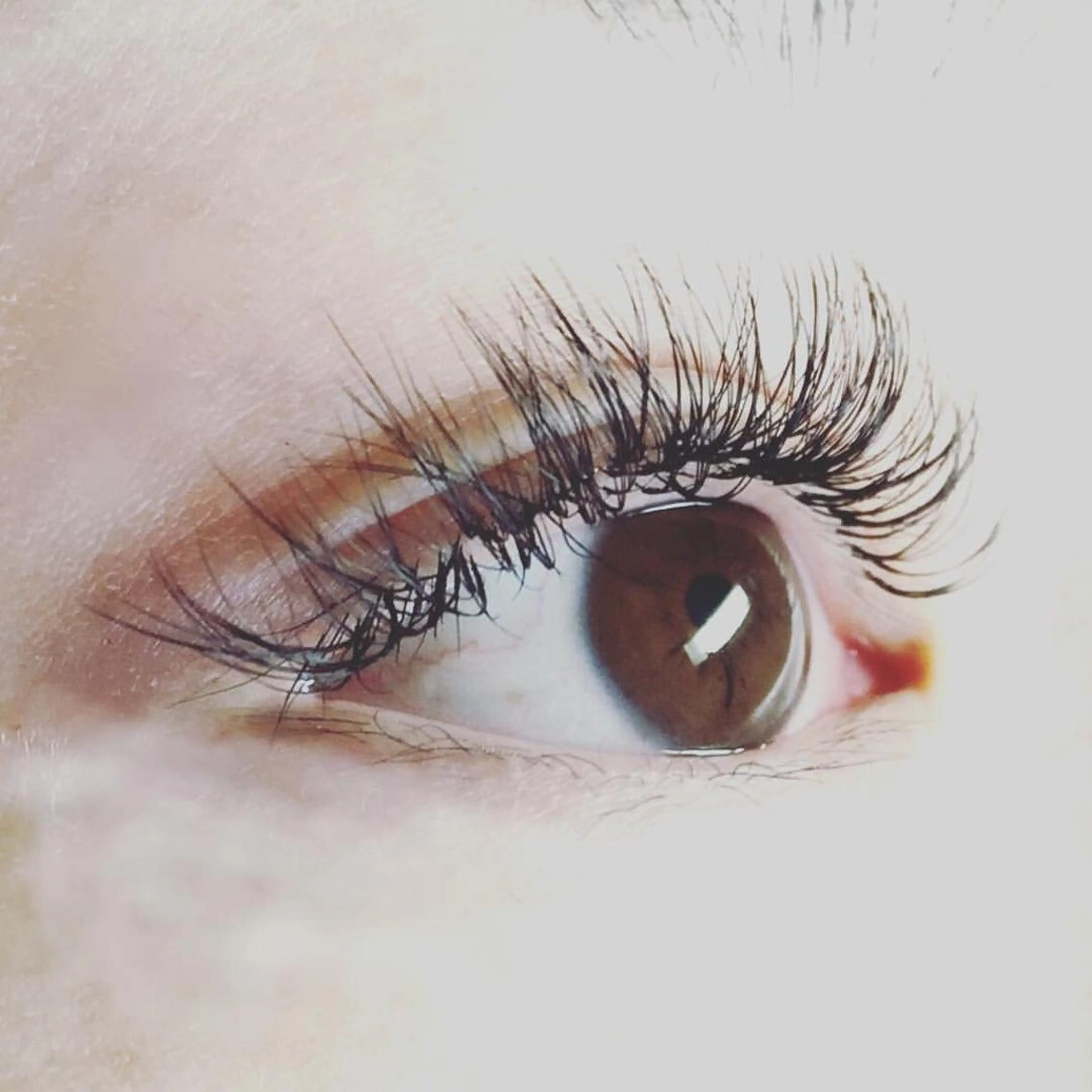 まつエク マツエク&まつ毛カールサロン　バタフライ・ラッシュ所属・下がりまつ毛たるみ 専門サロン妙蓮寺駅のマツエク・マツパデザイン