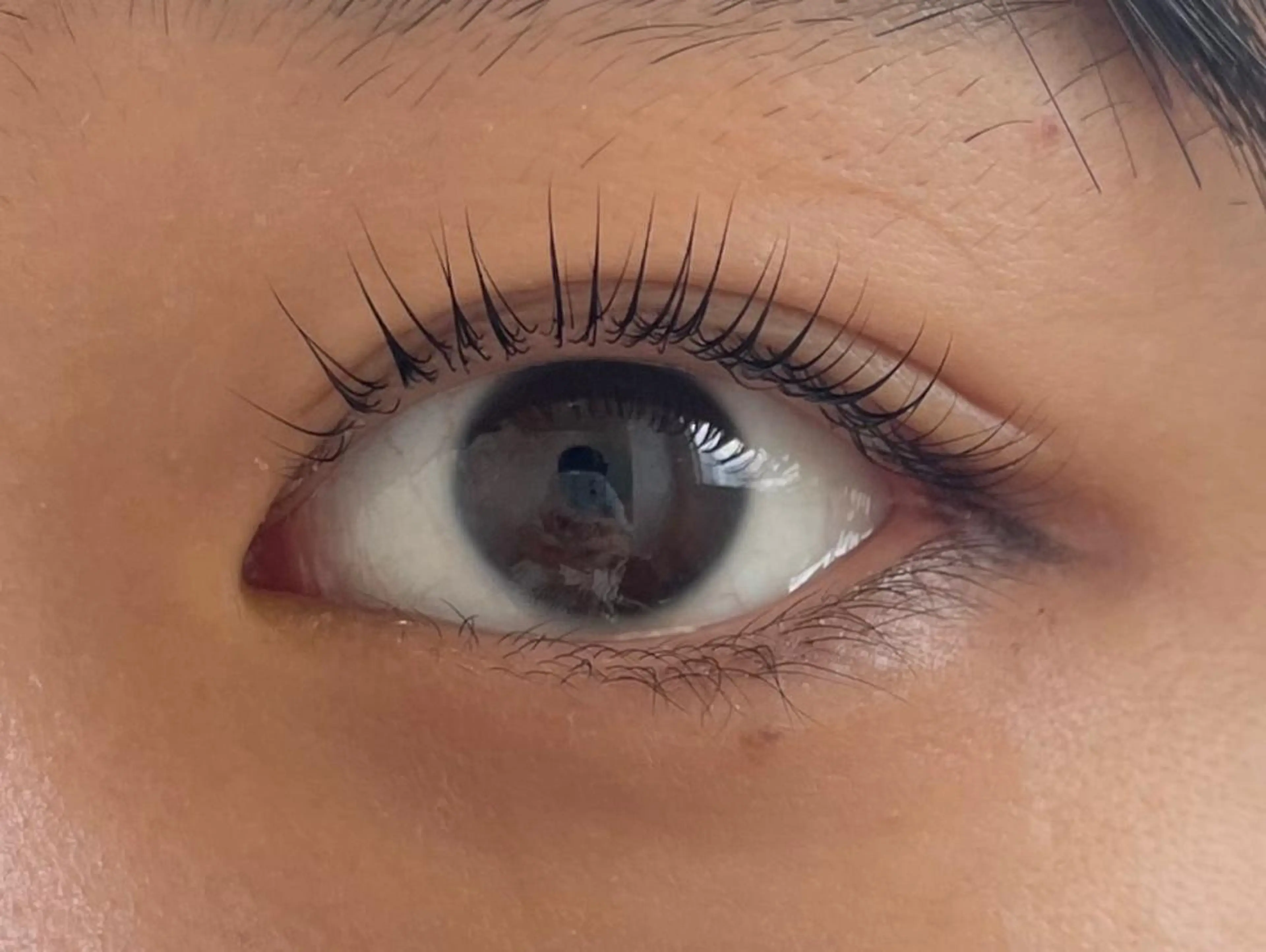 マツエク・マツパ 🖤Eve 市川 NARUMI🪽‪の眉毛・アイブロウイメージ