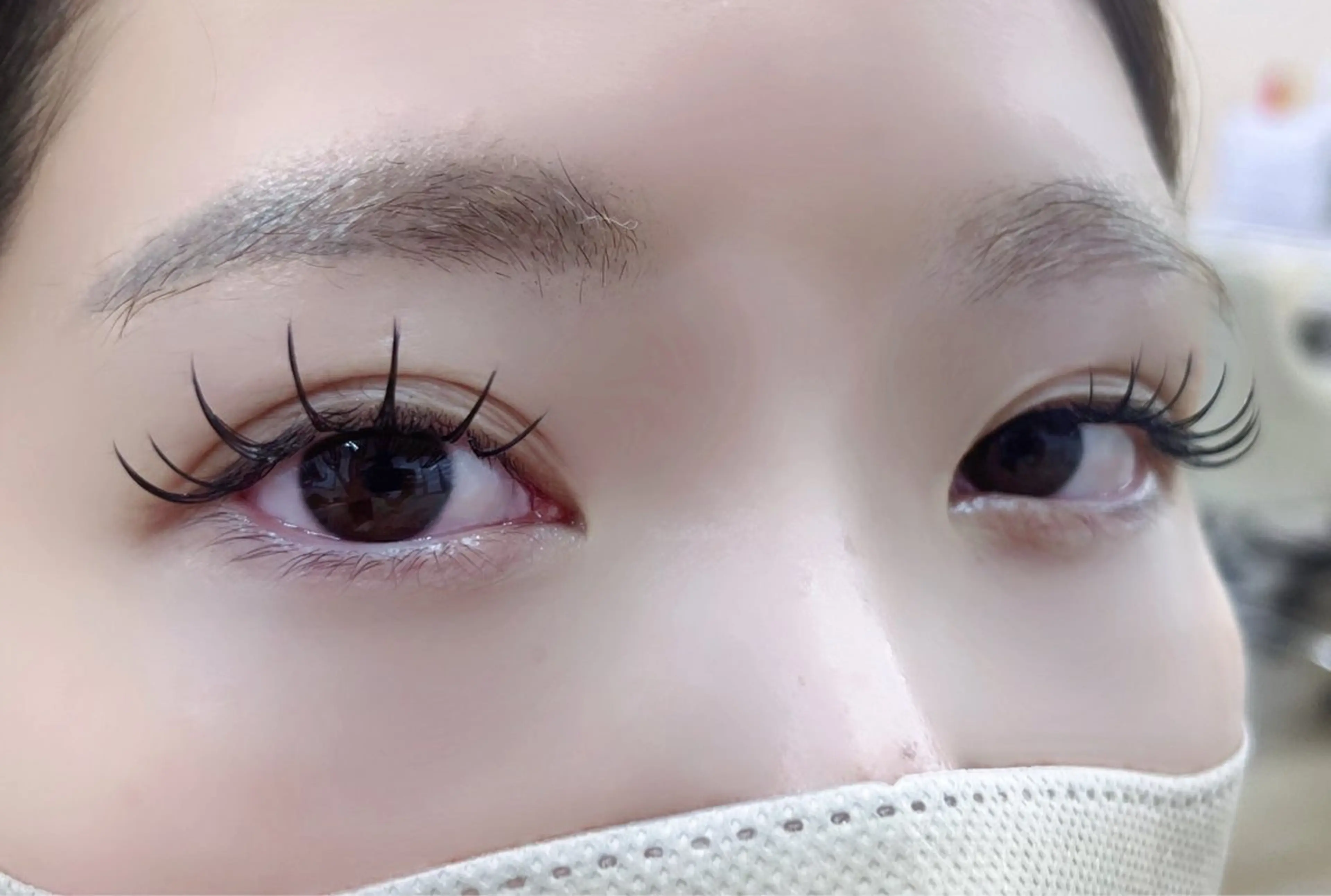 【12月平日限定】フラットラッシュ✨100本[初回シングルオフ無料]《武蔵浦和/エクステ》の写真