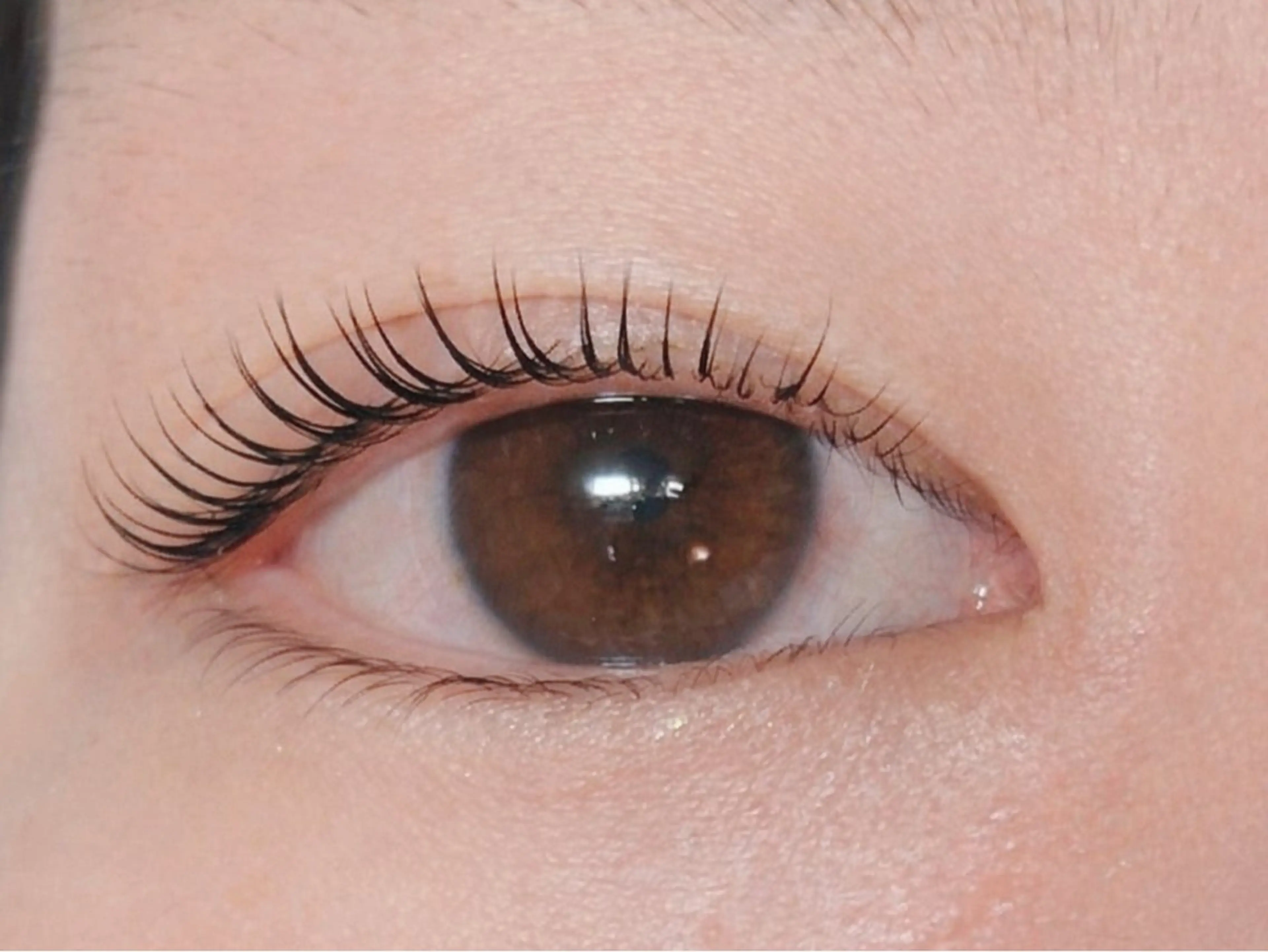 マツエク・マツパ Melia Chieのマツエク・マツパデザイン