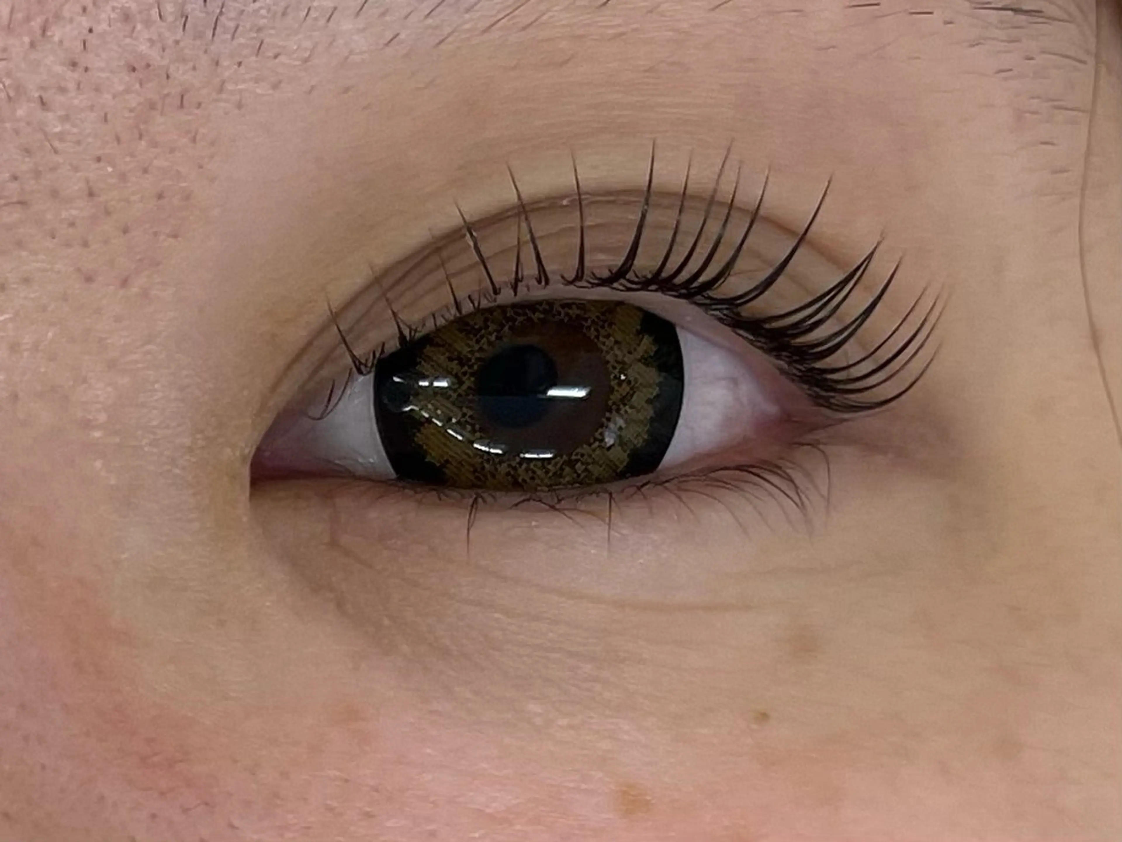 マツエク・マツパ マツパ マリーテレジア 🌻RUKAのマツエク・マツパデザイン