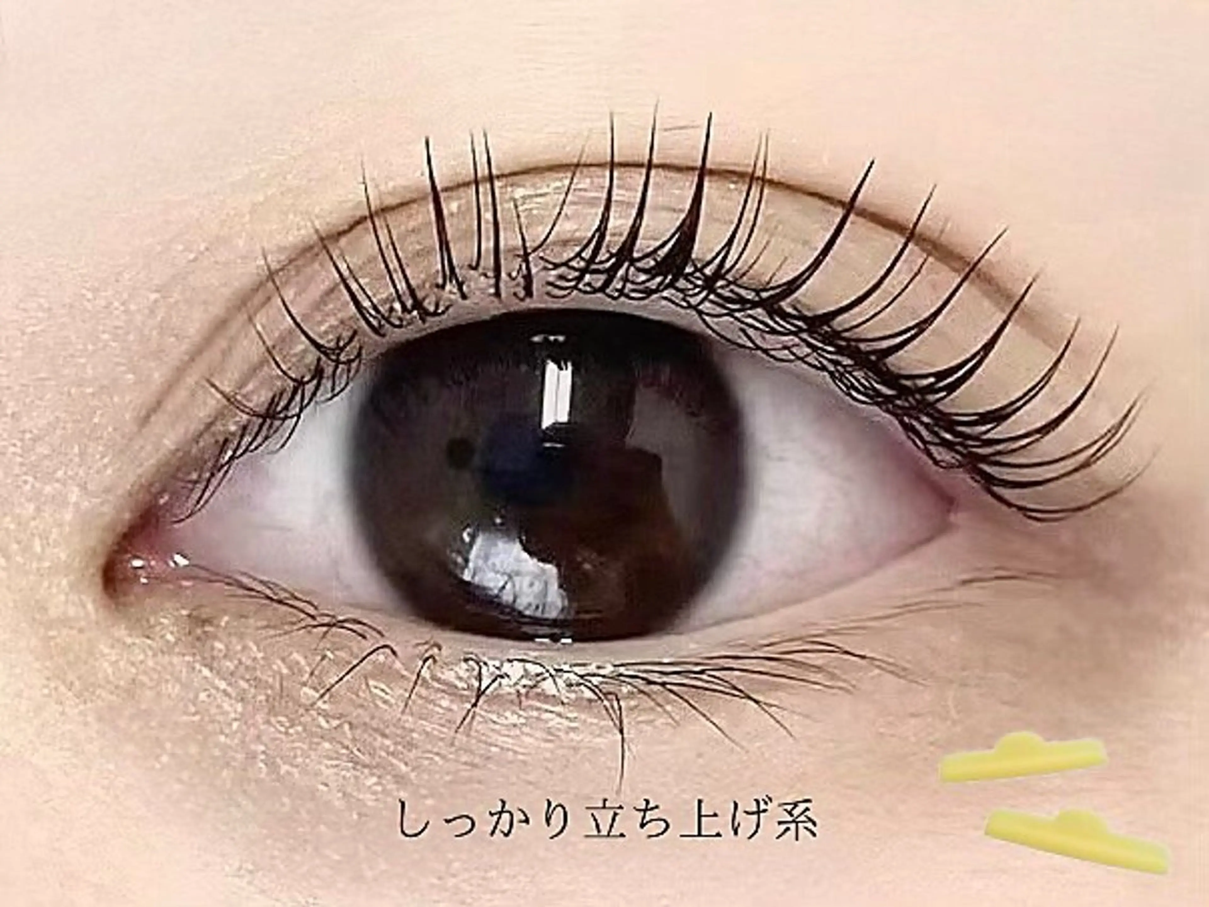 パーマ eve by 7LOOKS所属・Ayano eve 上野御徒町店のマツエク・マツパデザイン