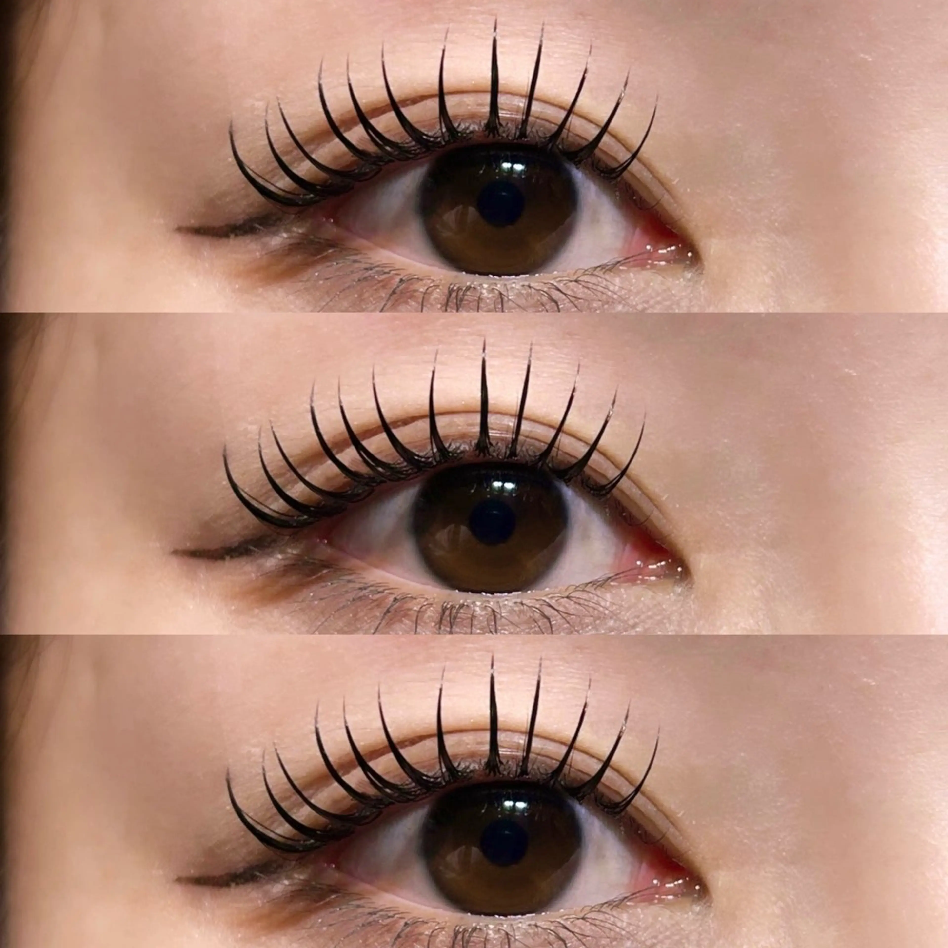 《12月限定パリエクメニュー🎅🏻.⋆𝜗𝜚》パリジェンヌ+フラットラッシュ120本の写真