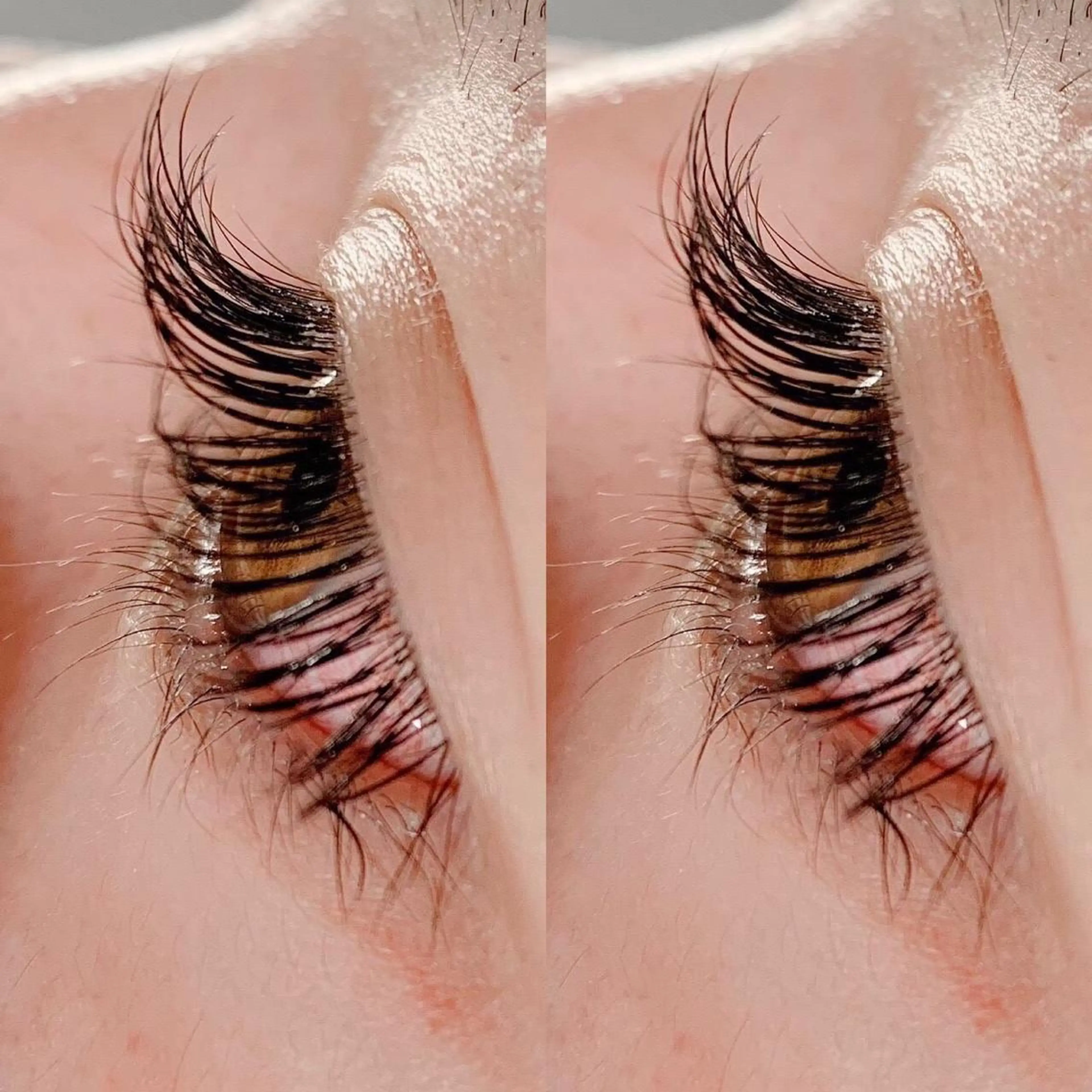 《11時​〜​19時限定》シングルラッシュ🦋ミンク120本までつけ放題🦋オフ、美容成分入りコーティング付き❣️の写真