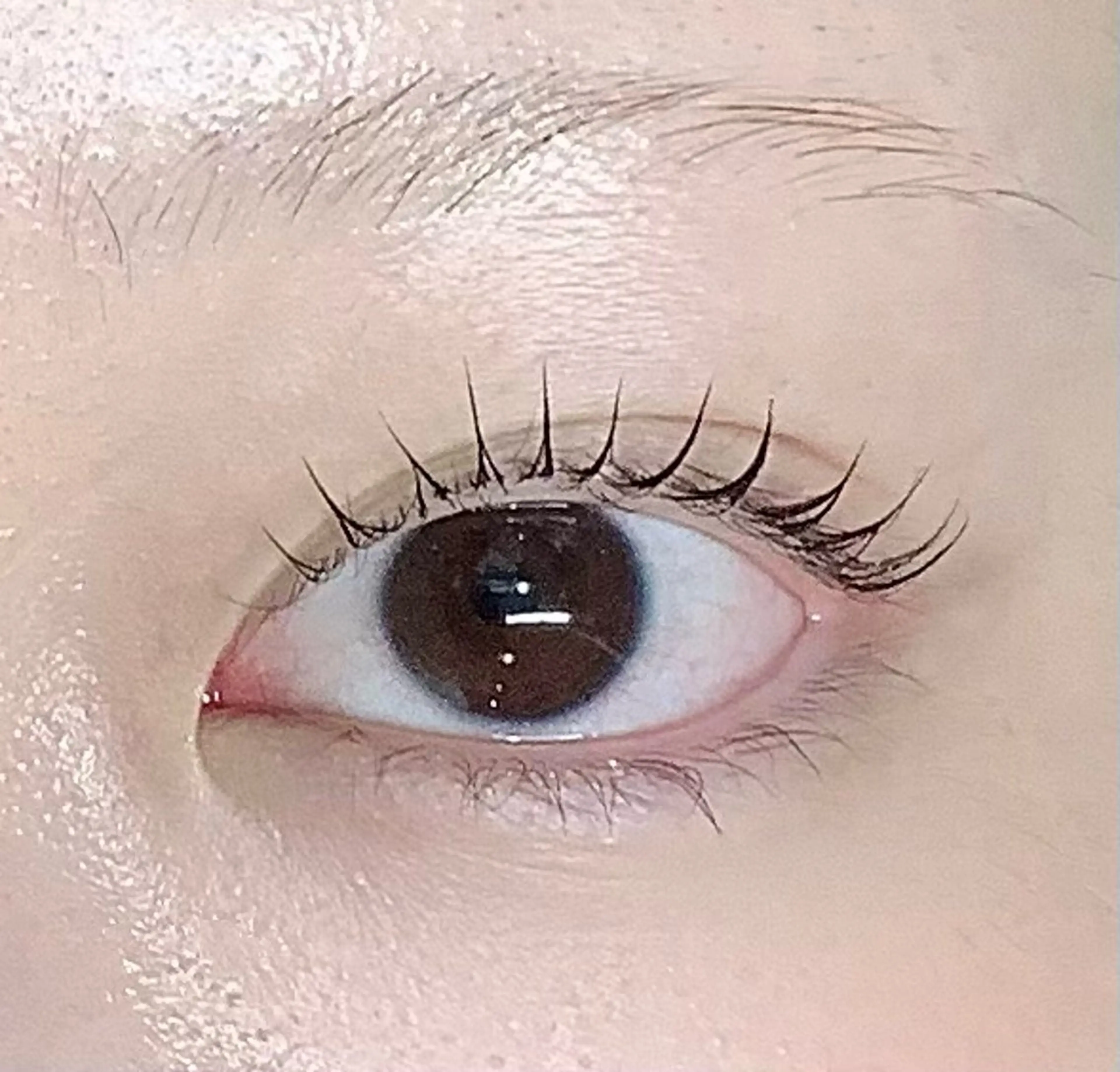 【12月26日限定❄️残り2名】まつ毛パーマモデルの写真