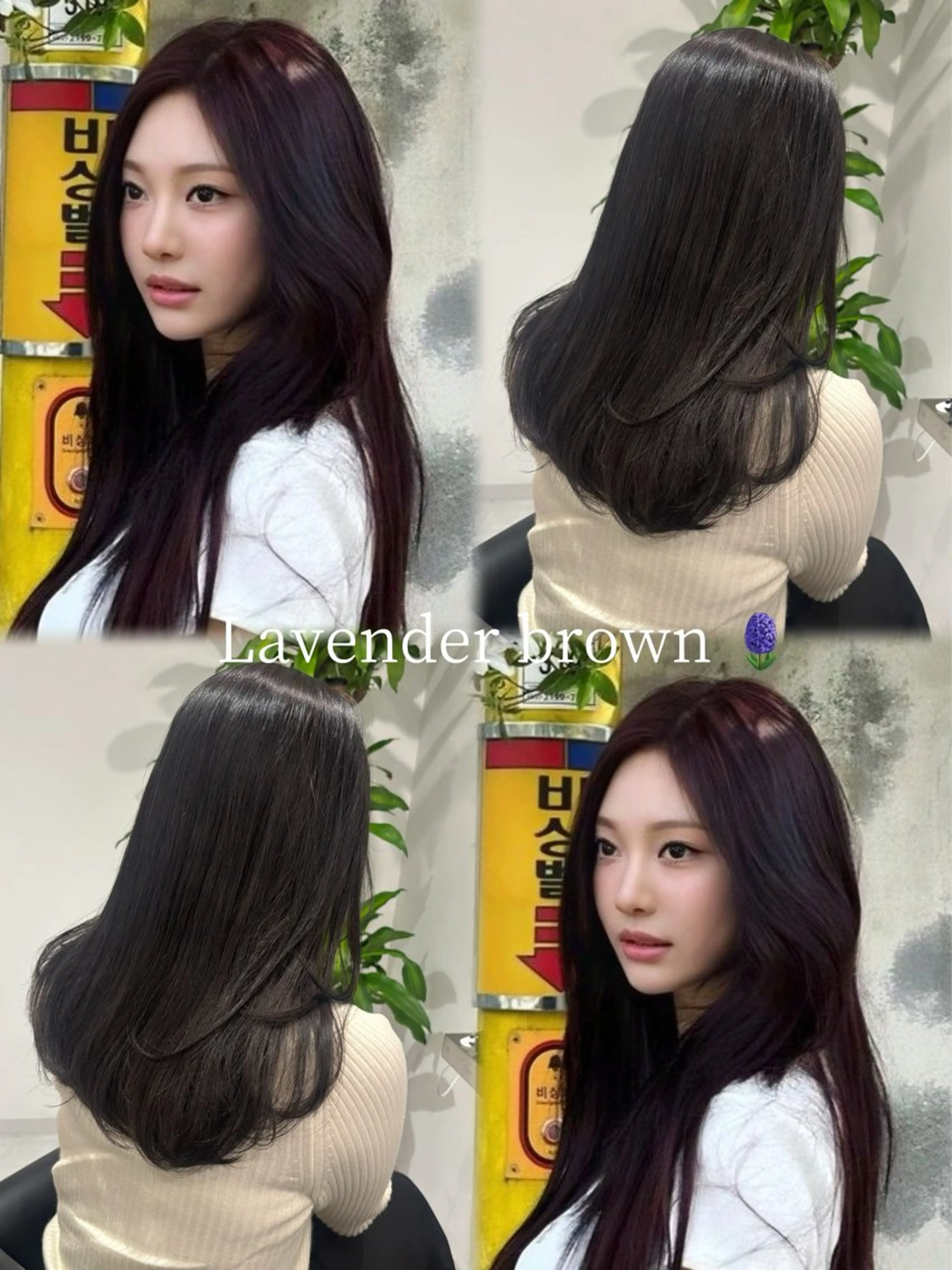 セミロング カラー ベージュカラー ブリーチ ブラウンカラー ケアブリーチ カシス カット ヘアカラー トリートメント レイヤー/ボブモデル 募集中🕊️正源のヘアスタイル