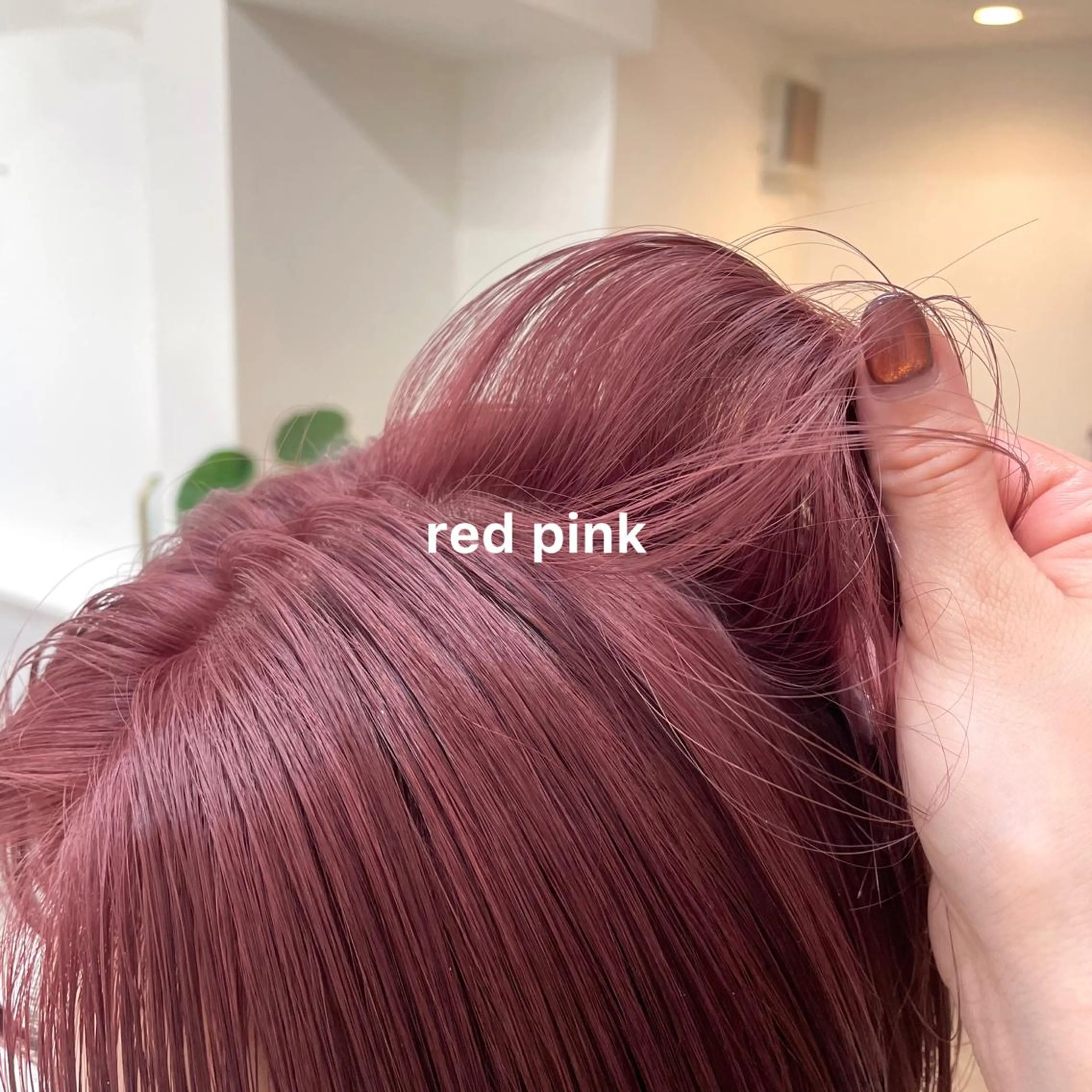 カラー 暖色カラー推し/ トヤエリコのヘアスタイル