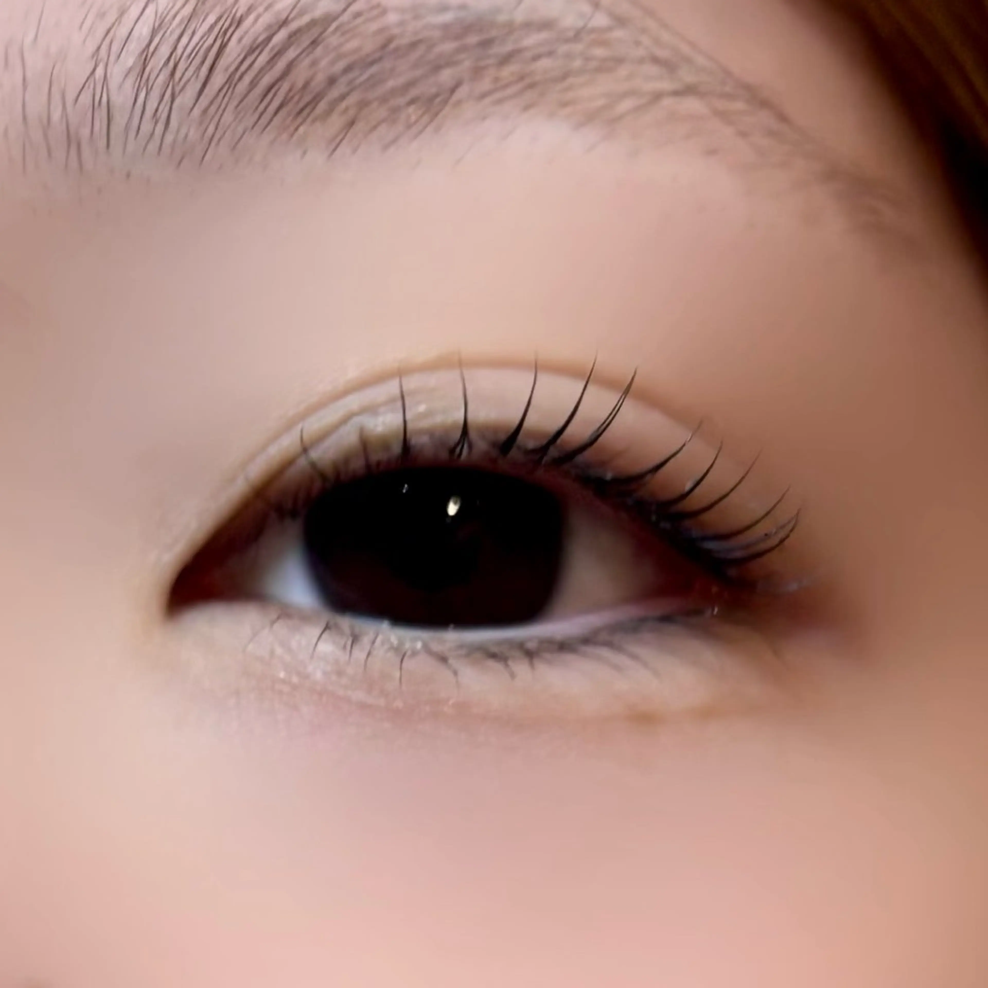 マツエク・マツパ まつげパーマ マツパ Riina🎀 国分寺 .｡.:*･のマツエク・マツパデザイン