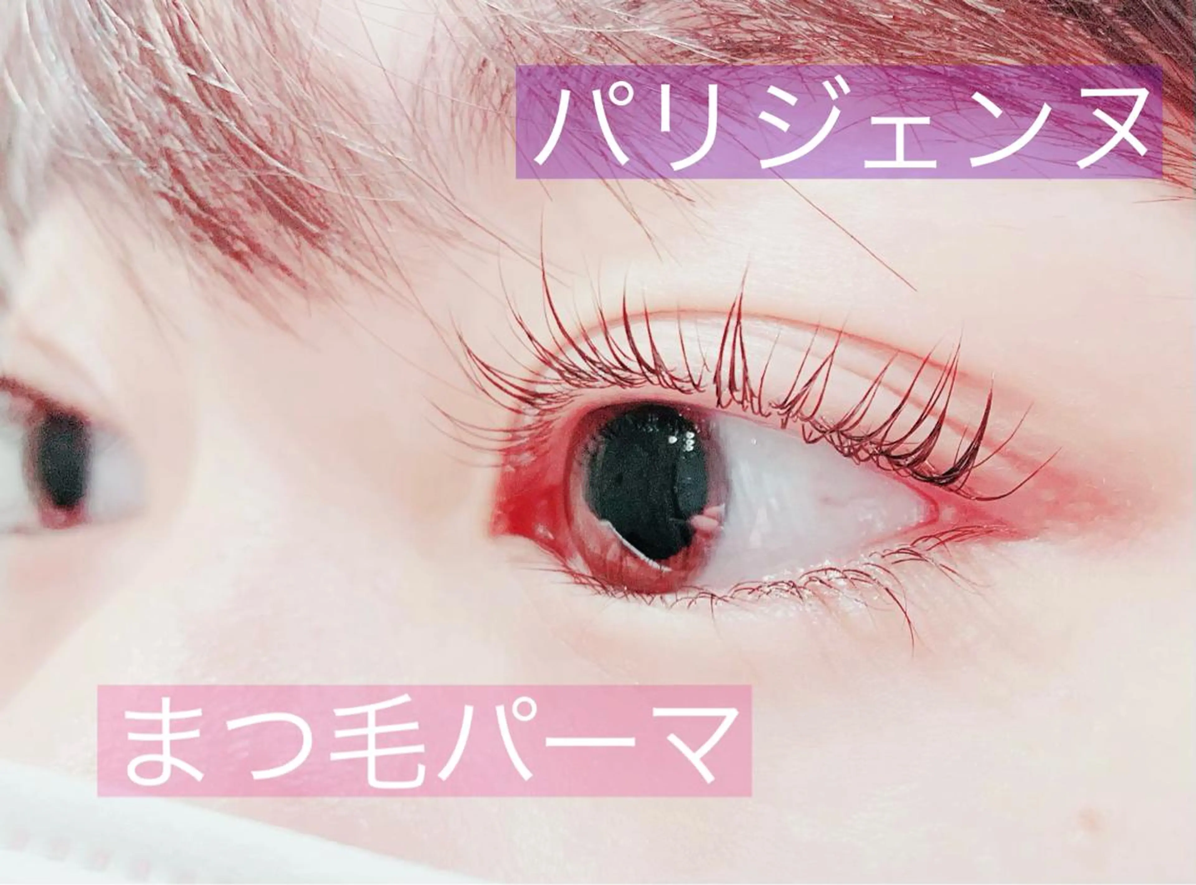 マツエク・マツパ パリジェンヌラッシュリフト 一重×まつ毛パーマ LEGA 志木 OKAMURAのマツエク・マツパデザイン