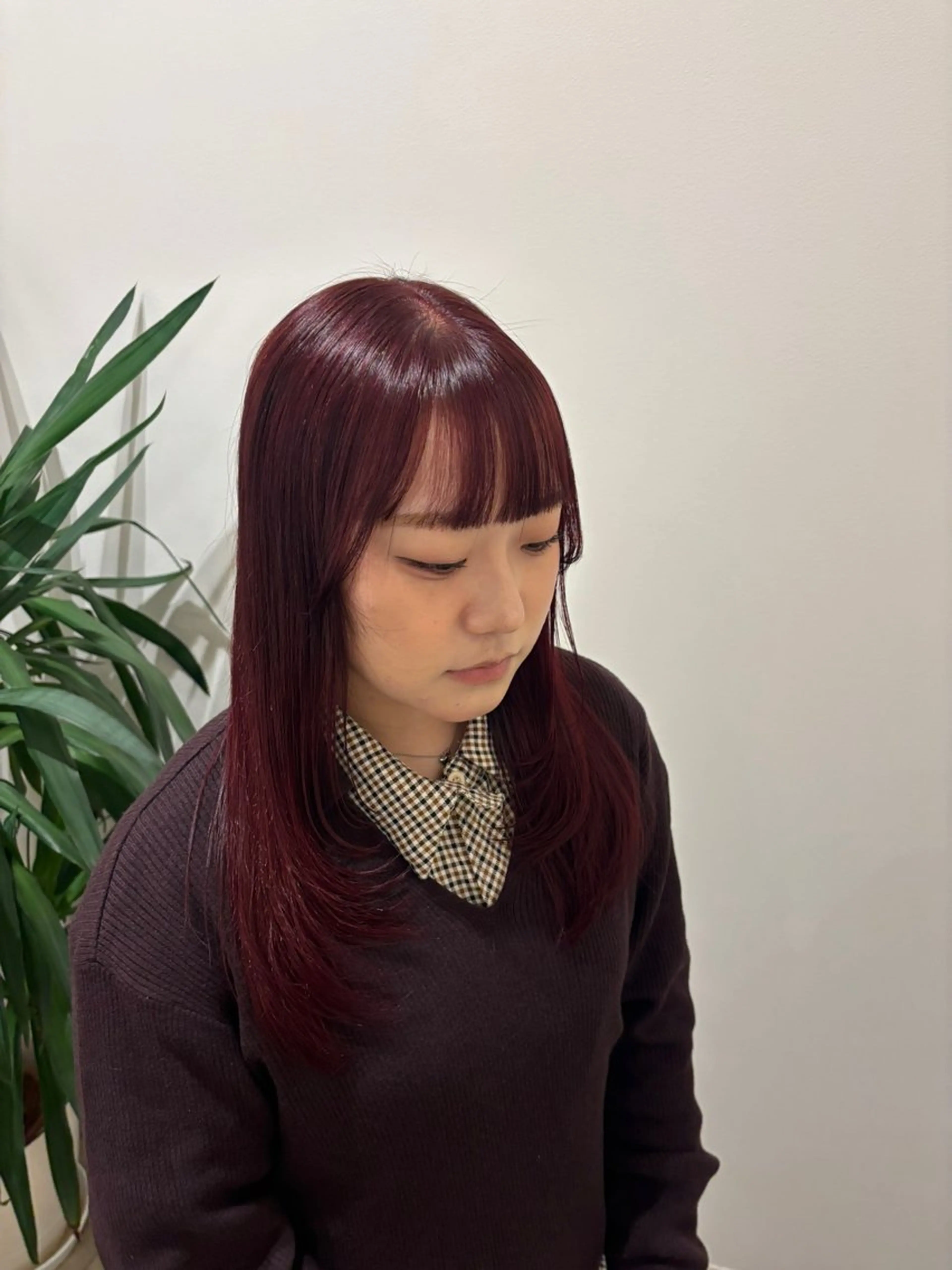 セミロング カラー ブリーチ ボルドーカラー ダブルカラー ブリーチなしカラー レイヤーカット カット ヘアカラー 田中 梨緒のヘアスタイル