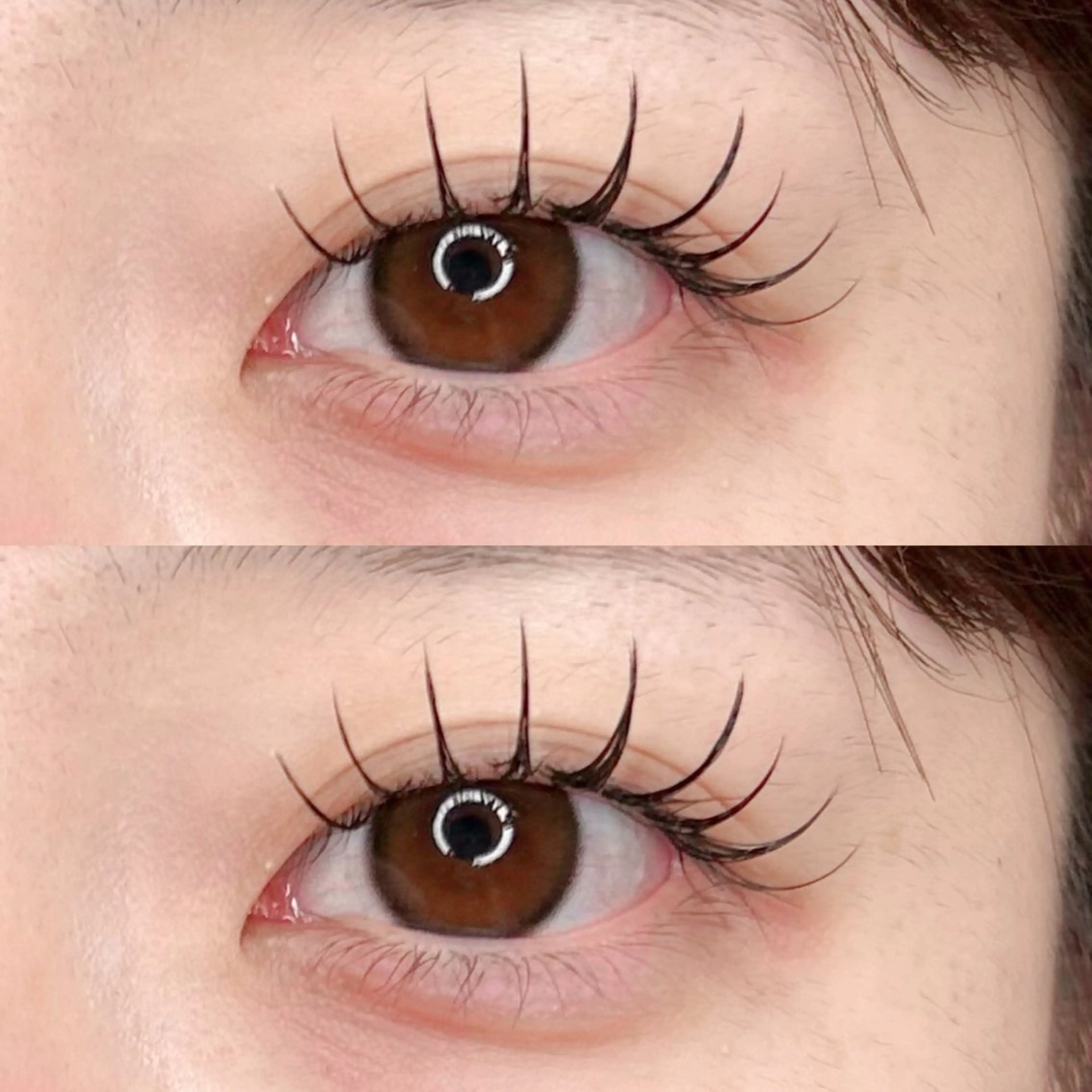 マツエク・マツパ マツエク mila/ユマ 🏰のマツエク・マツパデザイン