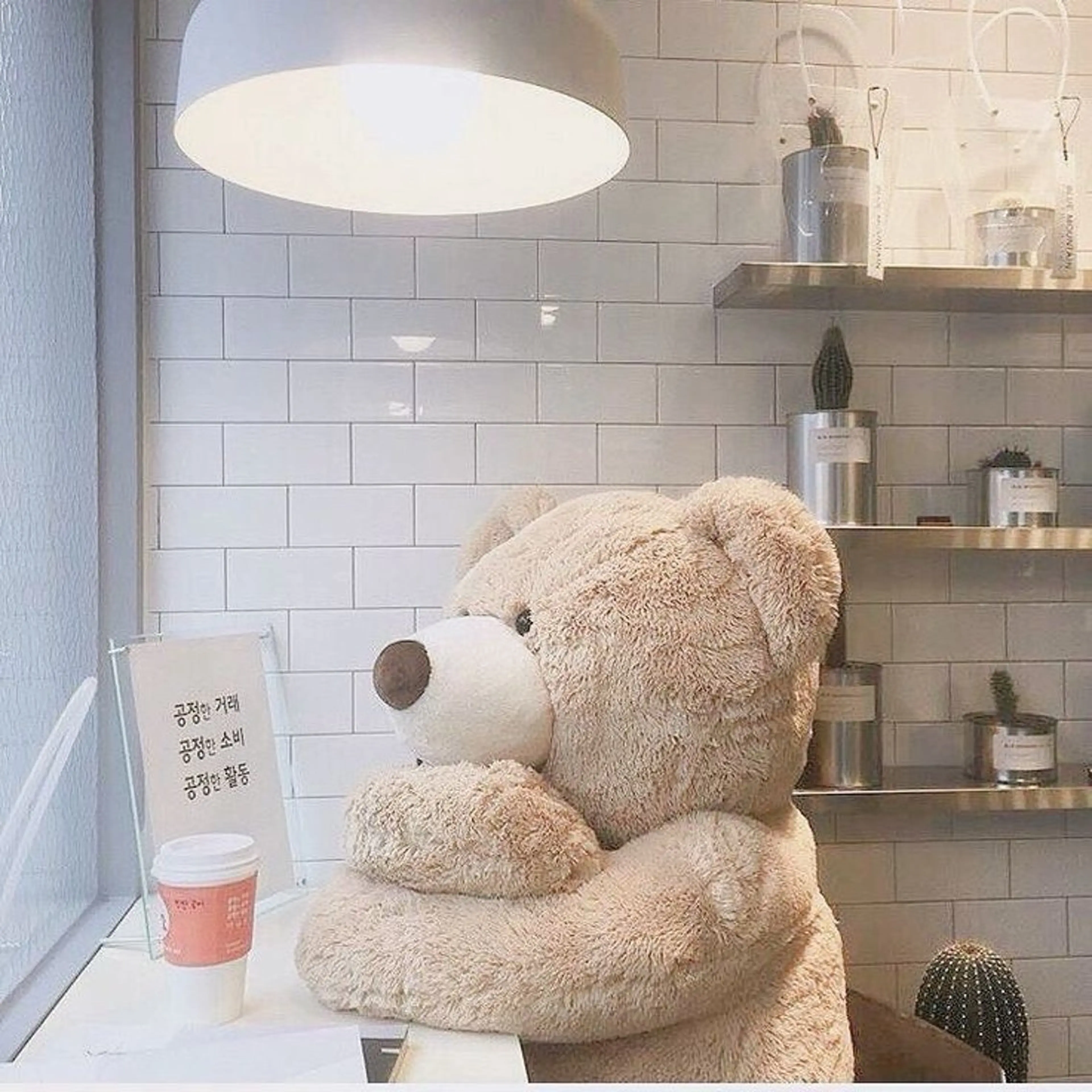 マツエク・マツパ mocca🕊🫧 ayamiのマツエク・マツパデザイン