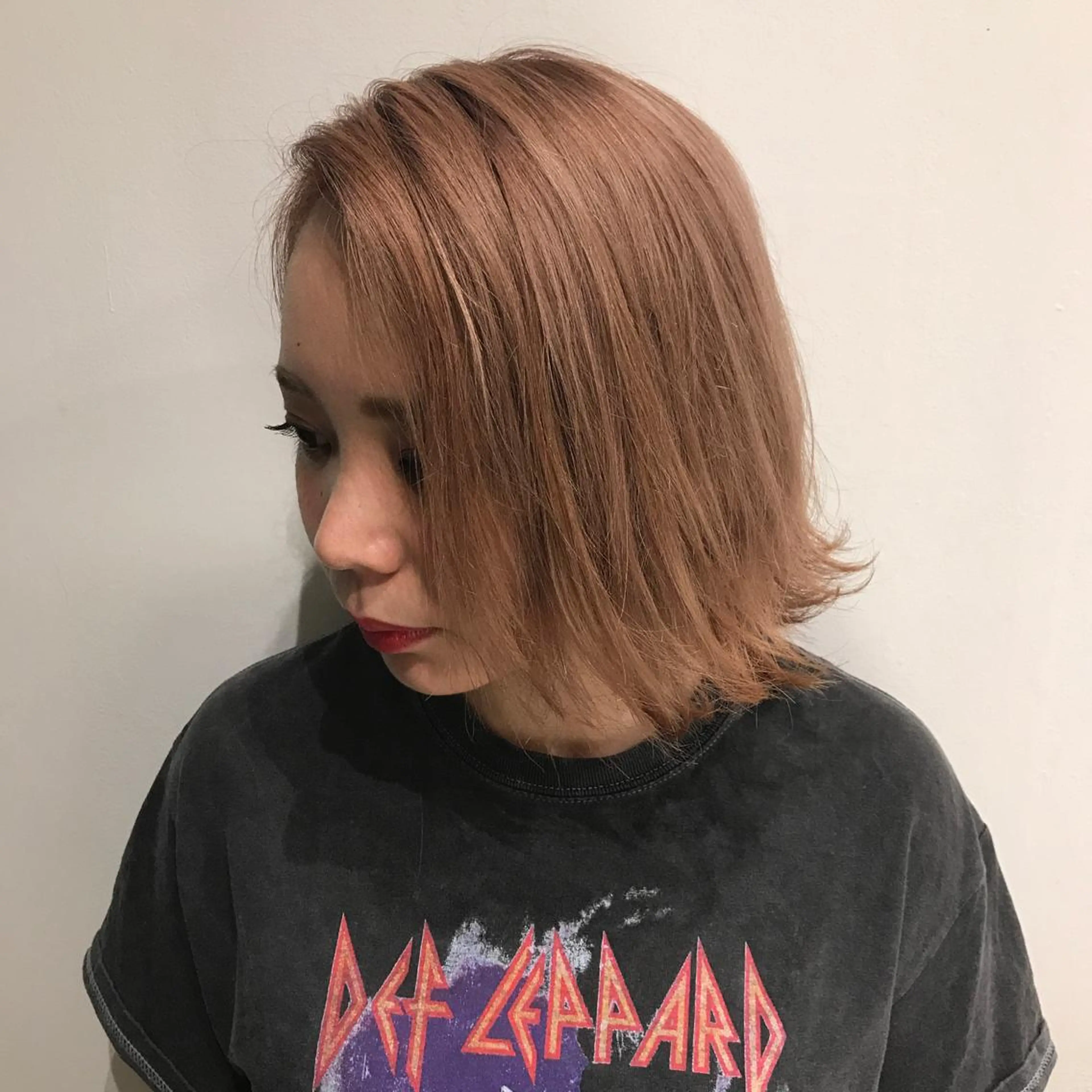 全体カットの写真