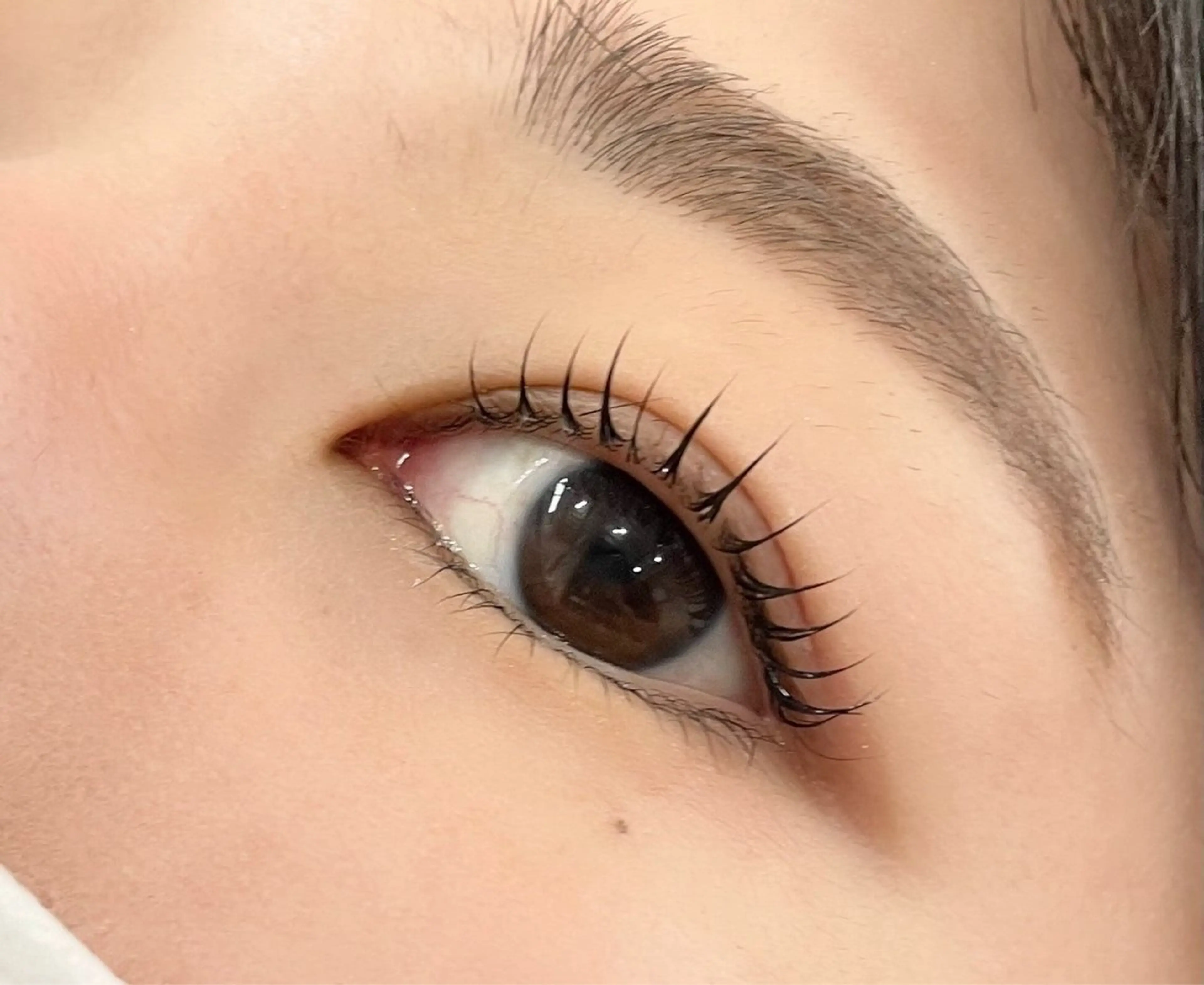 🩵まつげパーマ＋高保湿トリートメント+コーティング✨【5分以上遅れますと施術が出来ない場合もあります】の写真