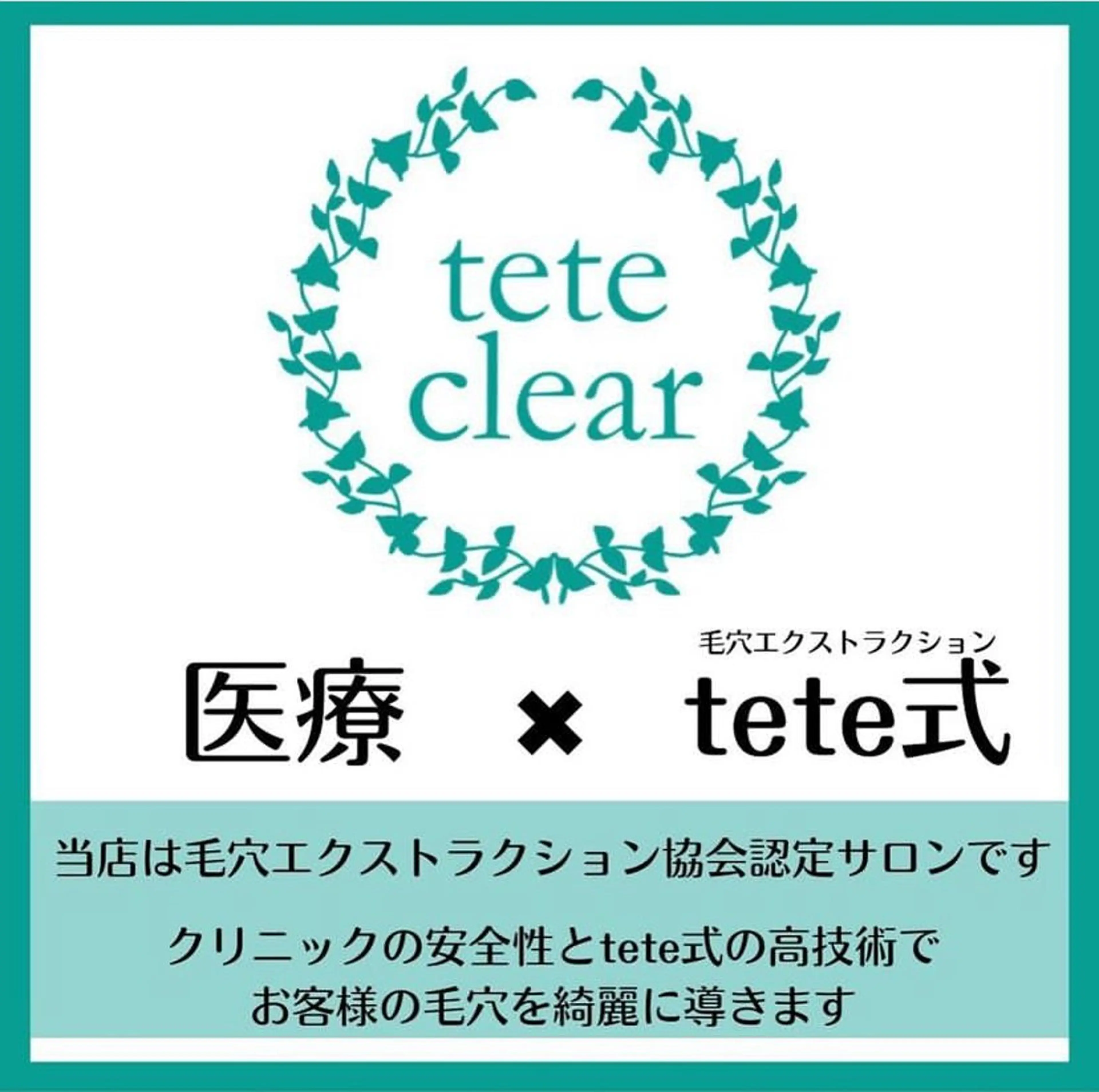 ＊仮予約＊毛穴エクストラクションTETE式【毛穴美人鼻のみコース　70分】の写真