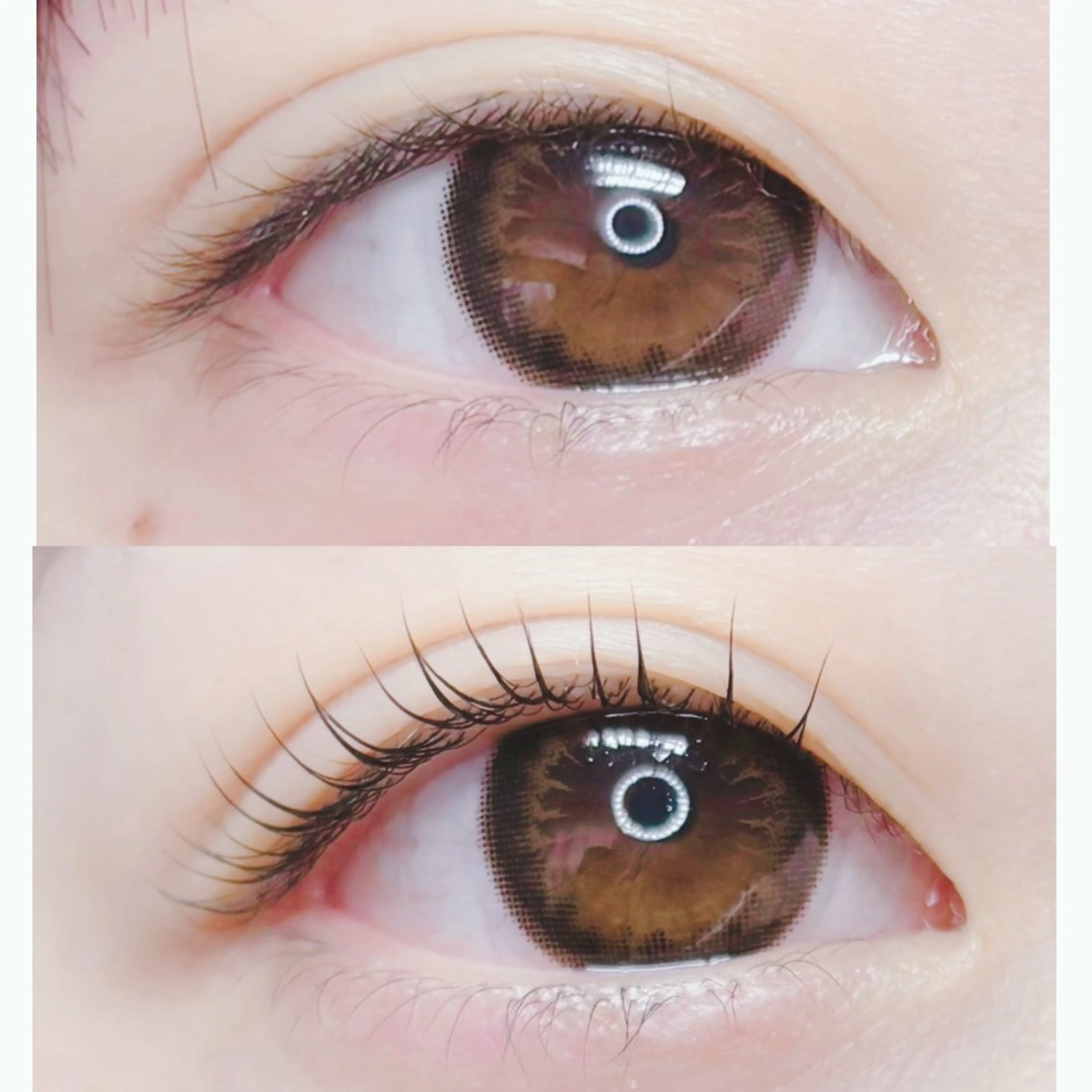 🌟初回のみ🫧‪丸みのあるカールデザイン🫧‪【アイシャンプー✲コーティング剤付き】️🩵の写真