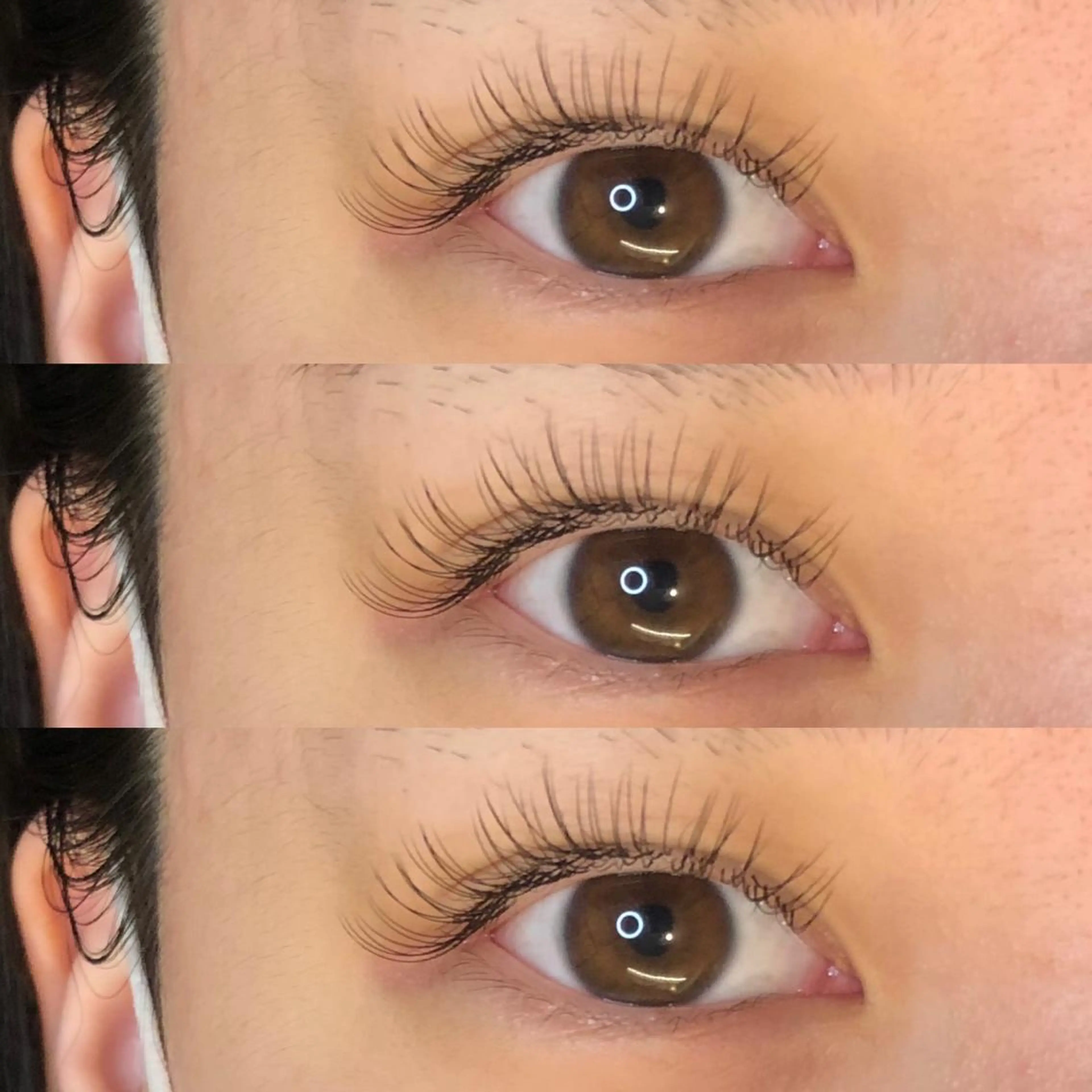 マツエク・マツパ CAMELLIA カメリアのマツエク・マツパデザイン