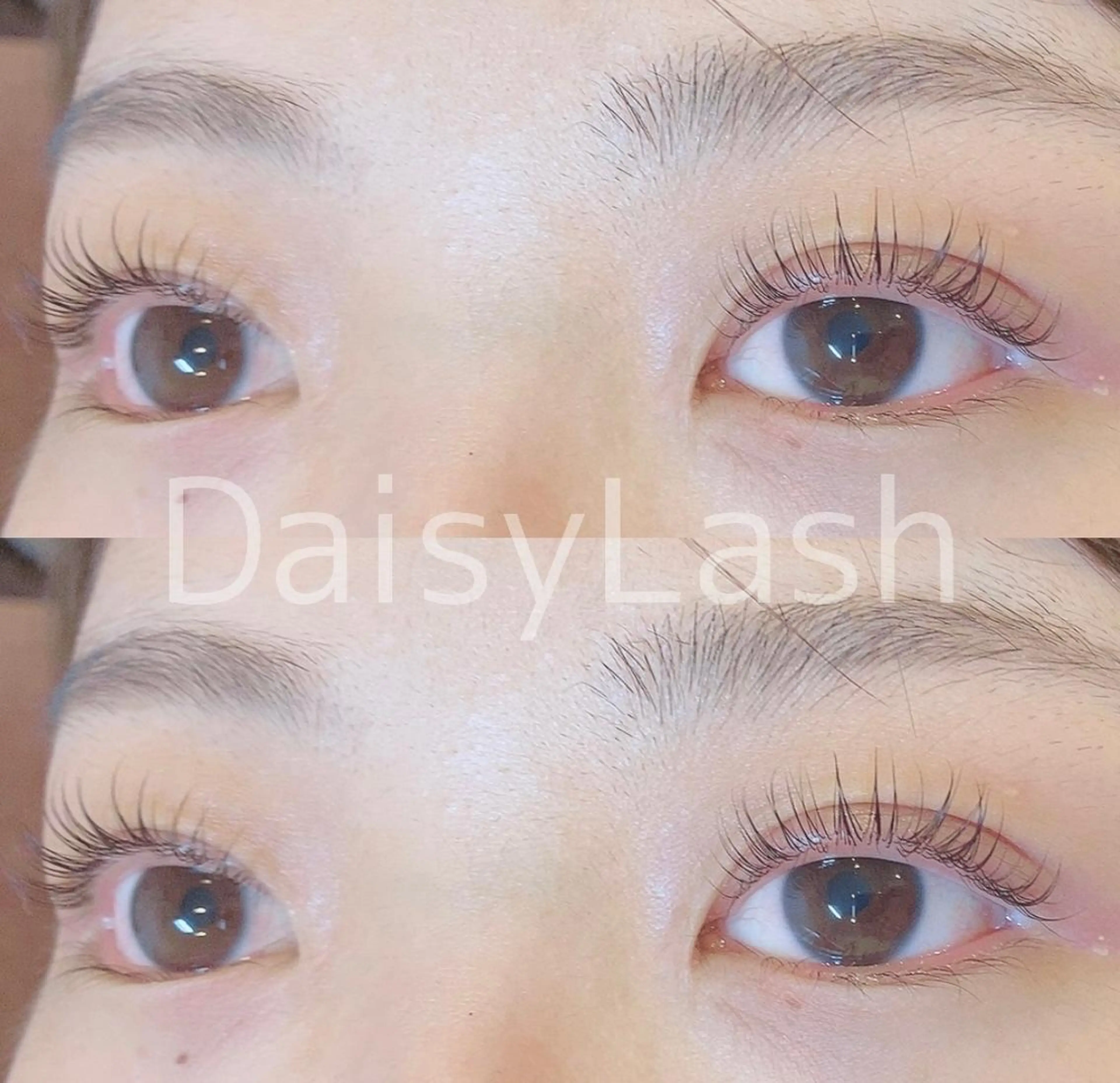 マツエク・マツパ DaisyLash 京橋店のマツエク・マツパデザイン