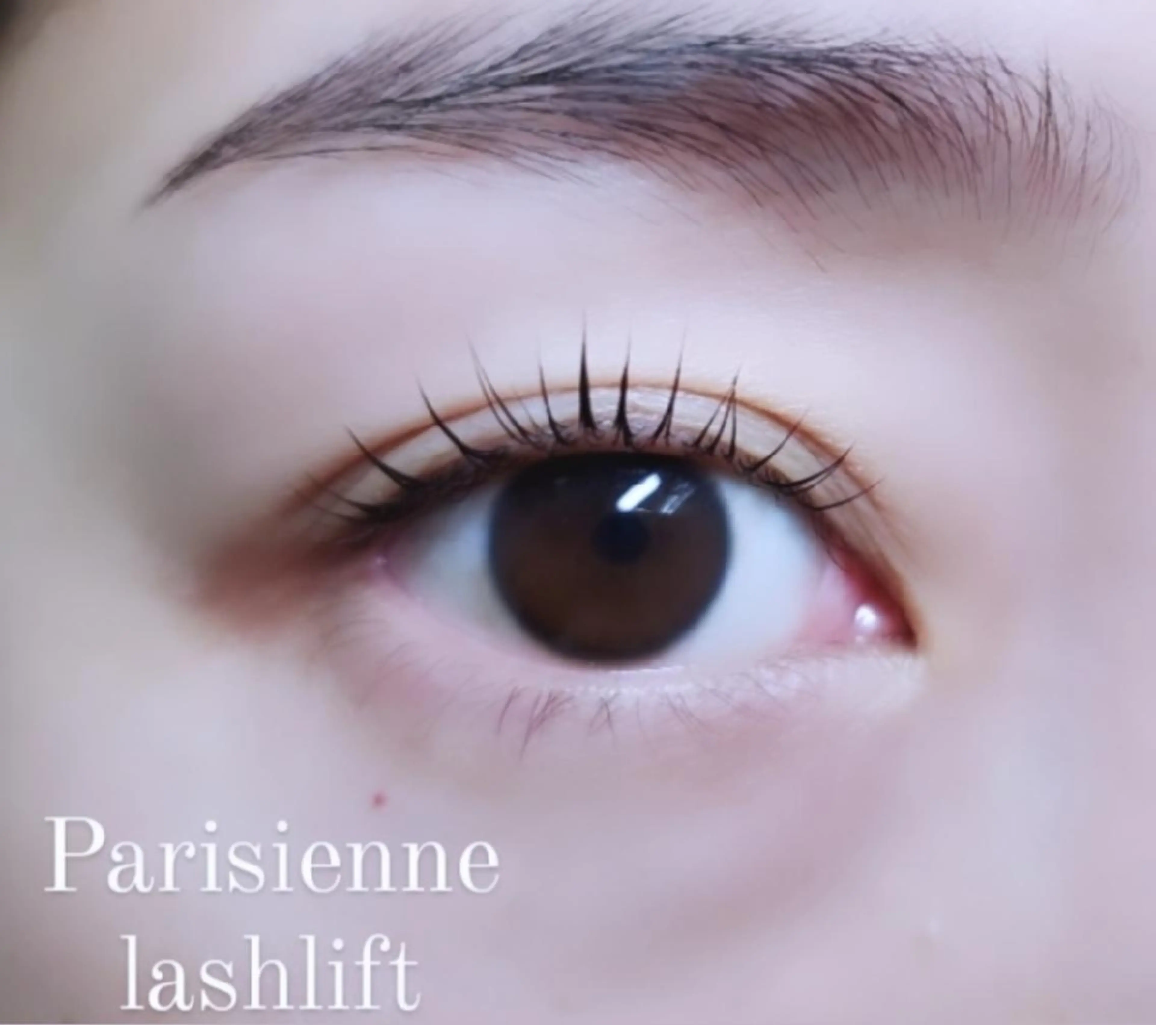 マツエク・マツパ パリジェンヌラッシュリフト eyelashsalon   rocolush 所属・★Hoshino★ 新宿西口 ·͜·🌟のマツエク・マツパデザイン