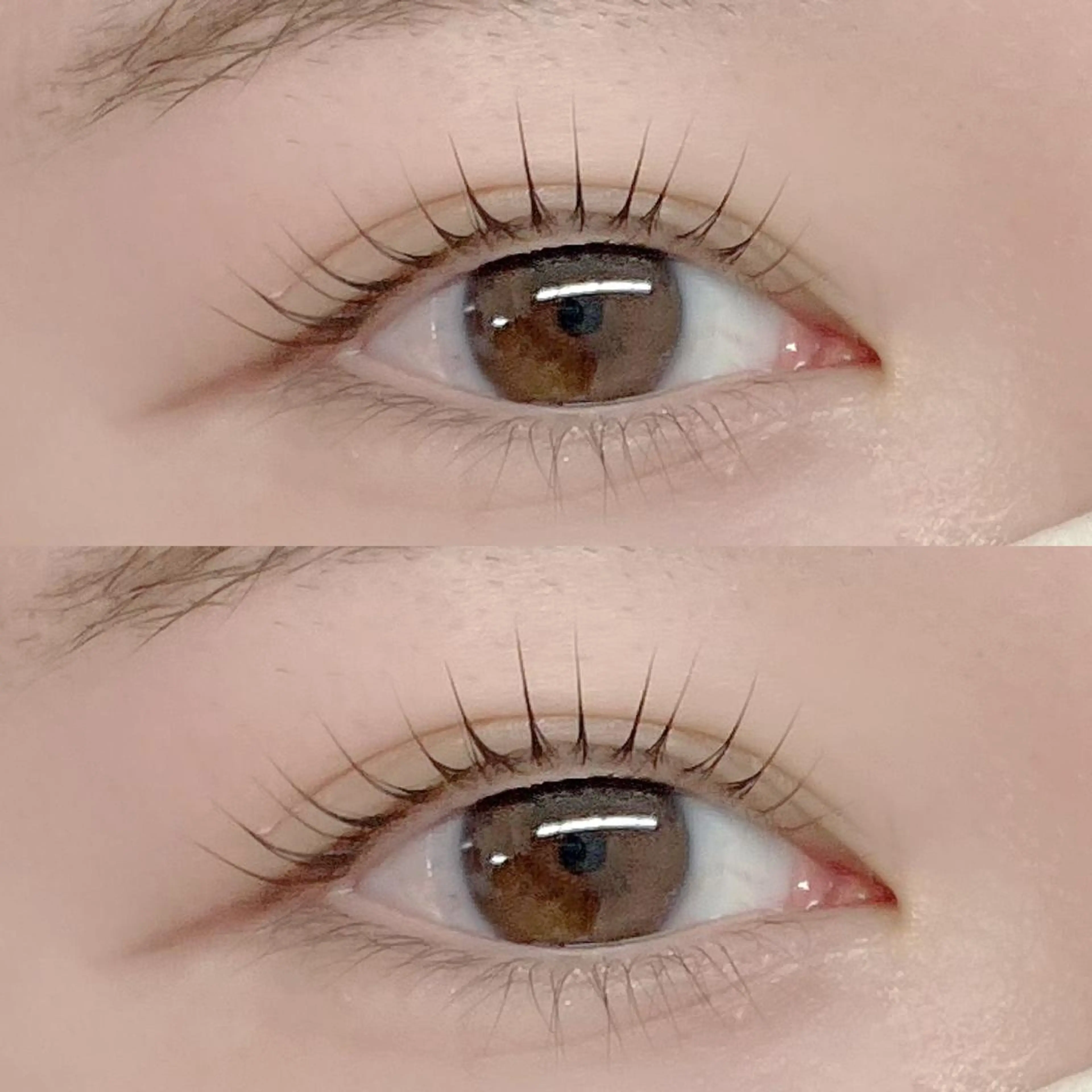 マツエク・マツパ 束感まつ毛 マツパ フジ ワラのマツエク・マツパデザイン