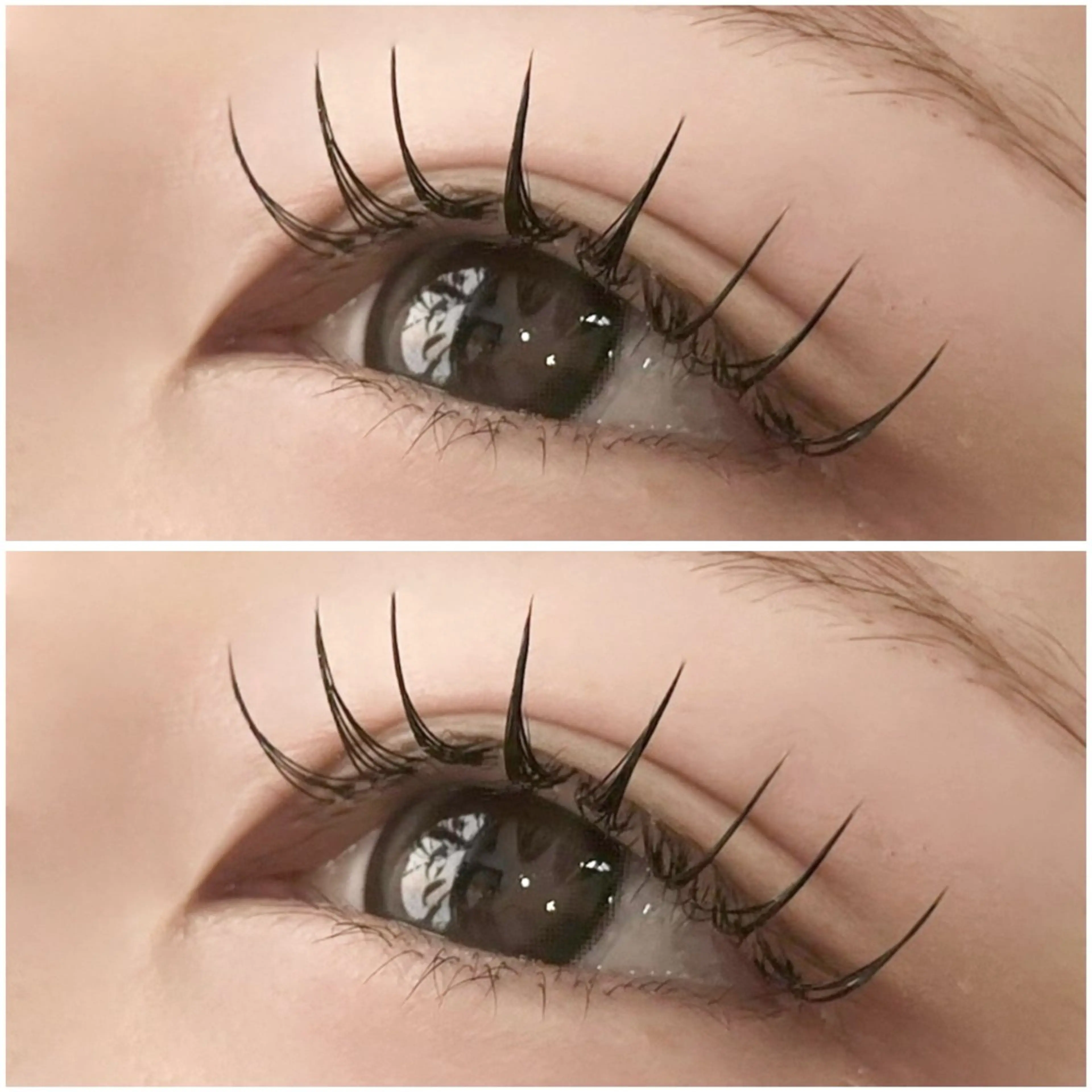 【新規】シングルフラットラッシュ(80〜120本)オフ無し✧︎の写真