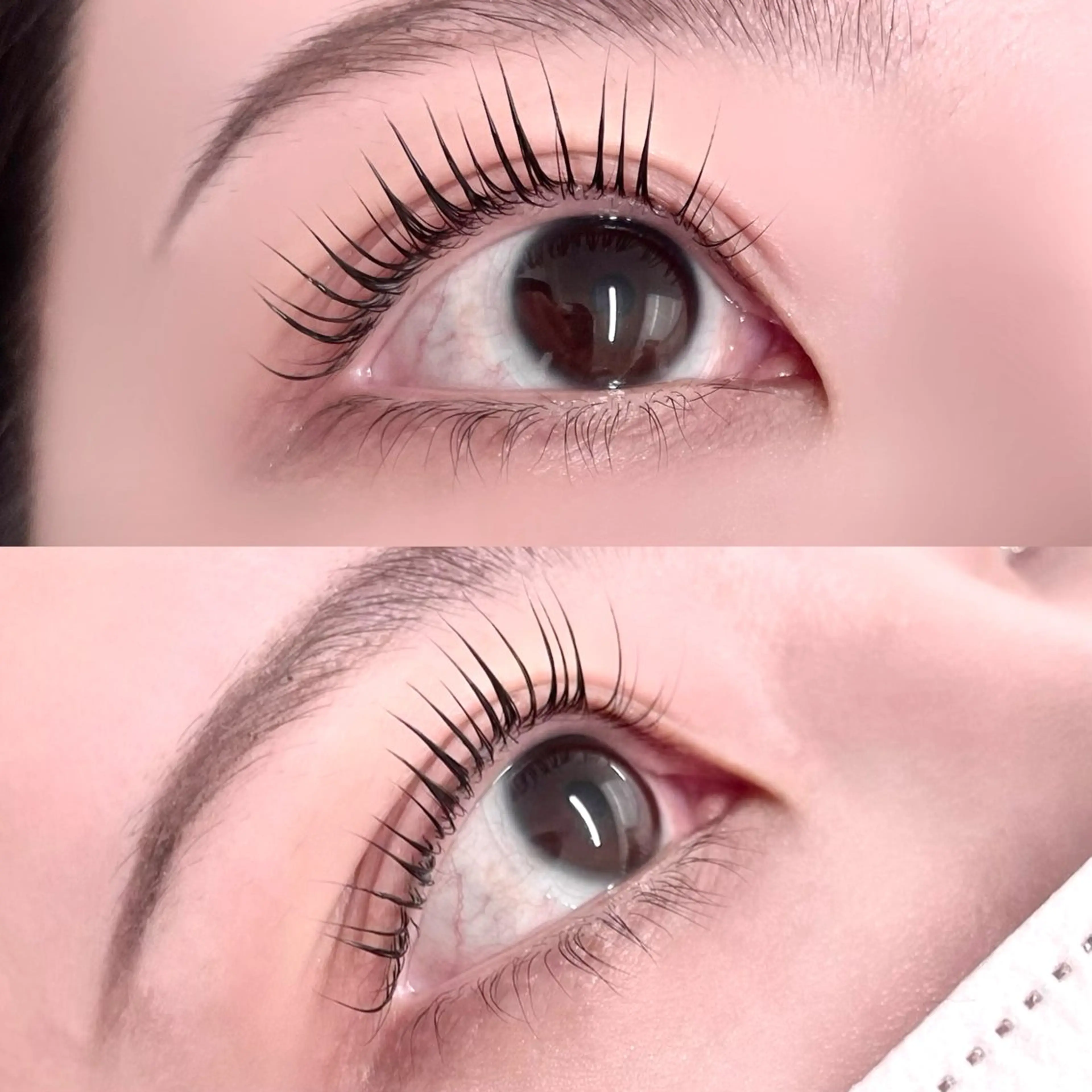 マツエク・マツパ パリジェンヌラッシュリフト Bianca/金町 Miyagiの眉毛・アイブロウイメージ