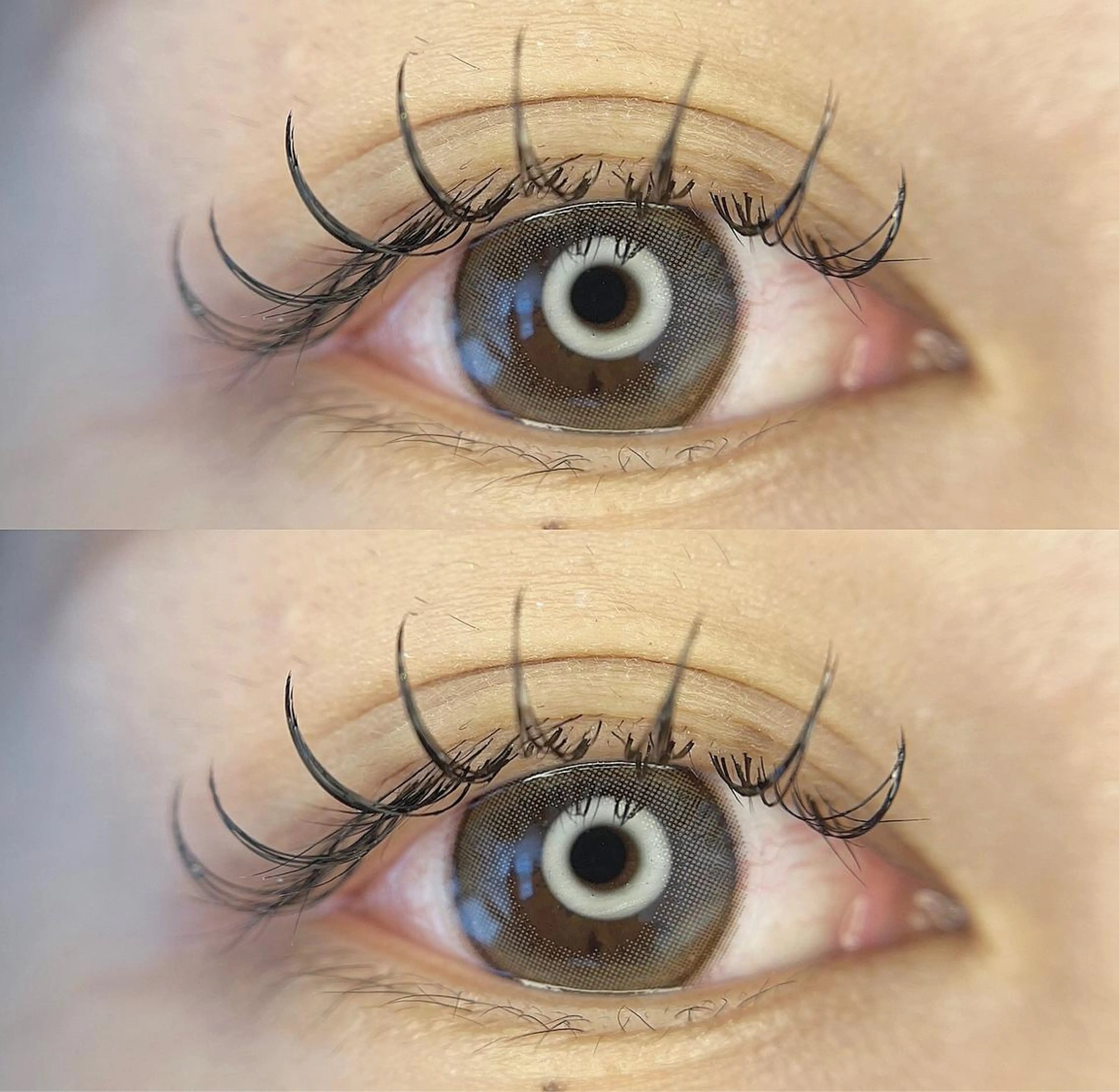 マツエク・マツパ フラットラッシュ Rona eye ひろなのマツエク・マツパデザイン