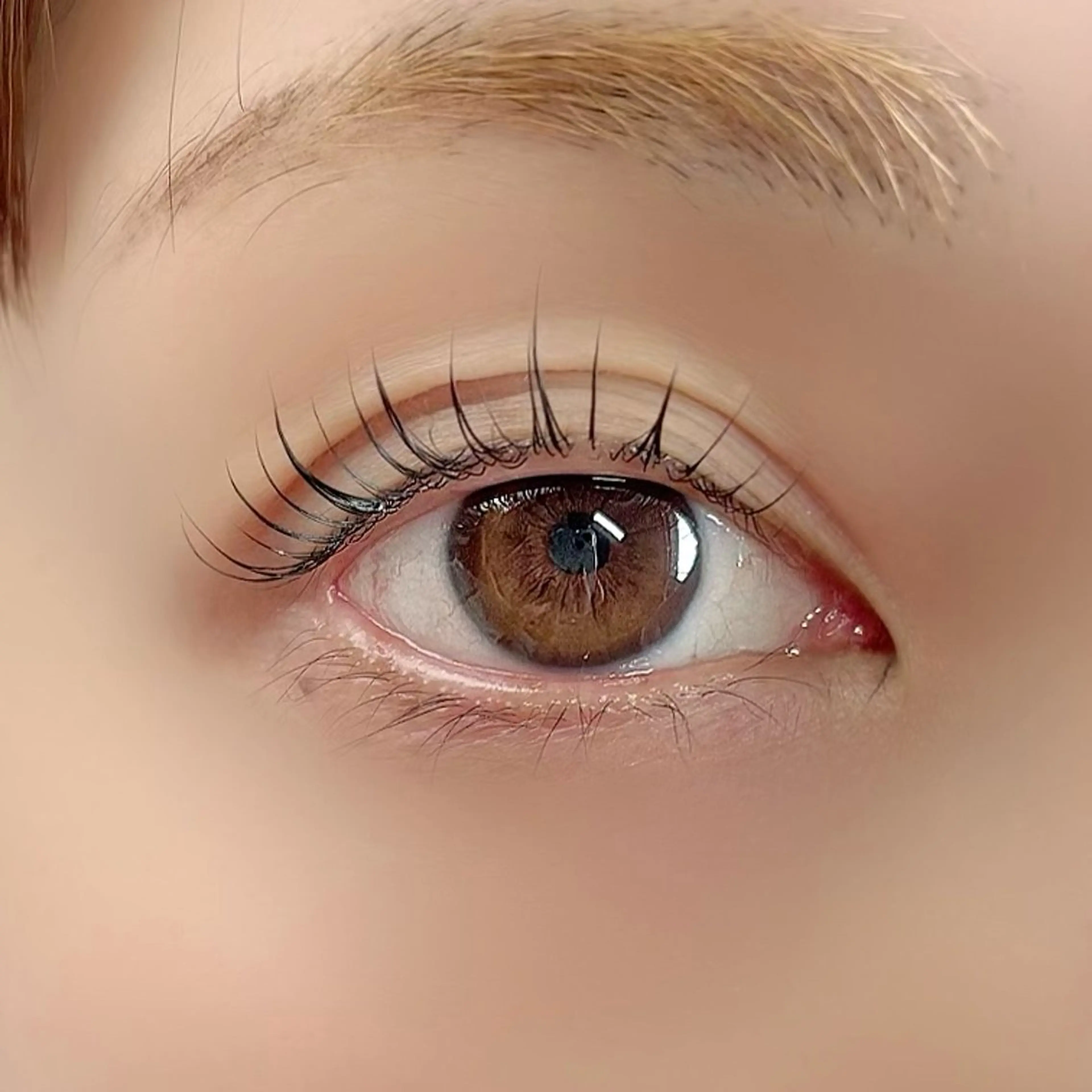 【すぐ予約】できるお時間限定🤍マスカラパーマ⚠︎現金支払いのみ⚠︎の写真