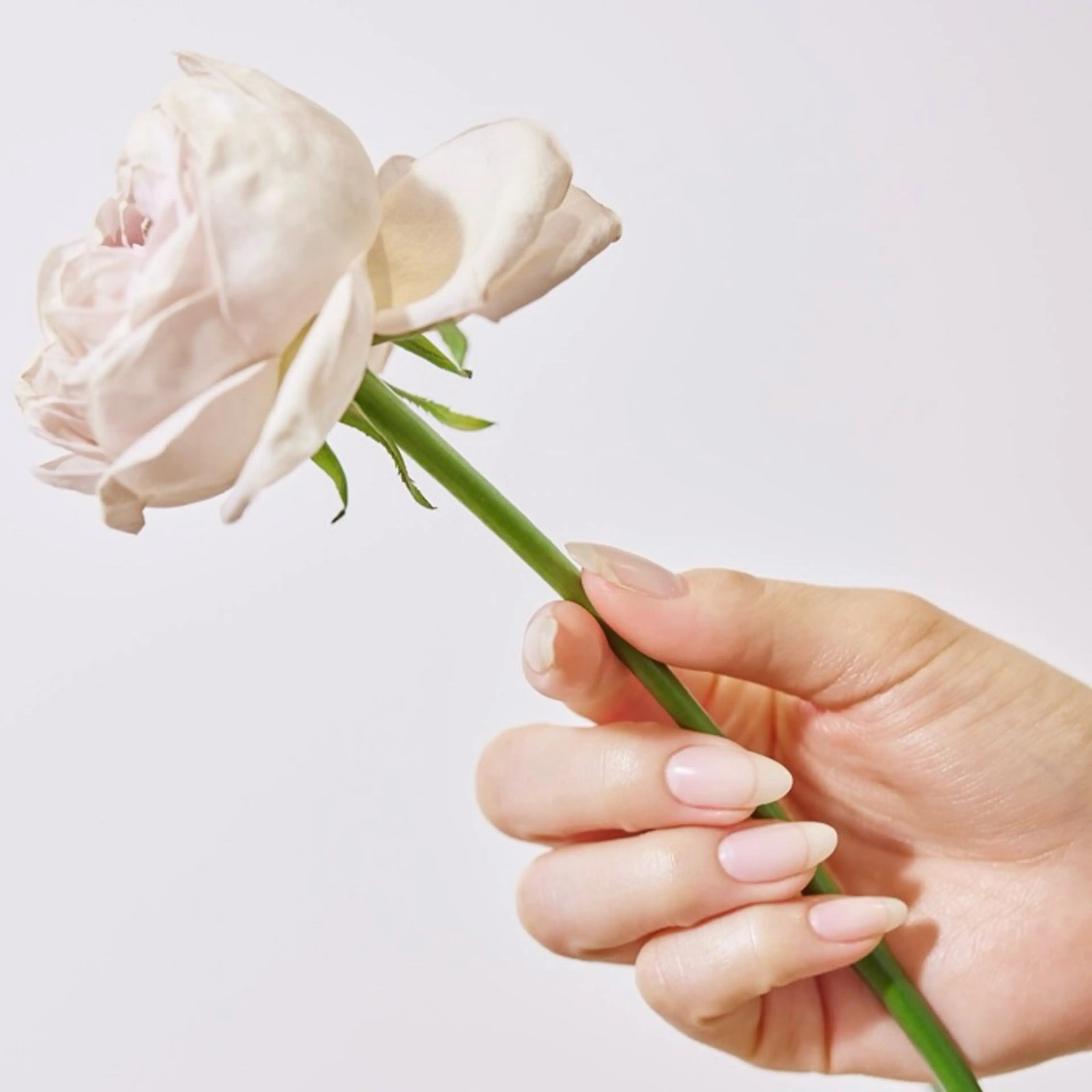 ネイル ジェルネイル オフィスネイル パラジェル シンプルネイル ハンドネイル H.Inoue パラジェル認定サロンのネイルデザイン