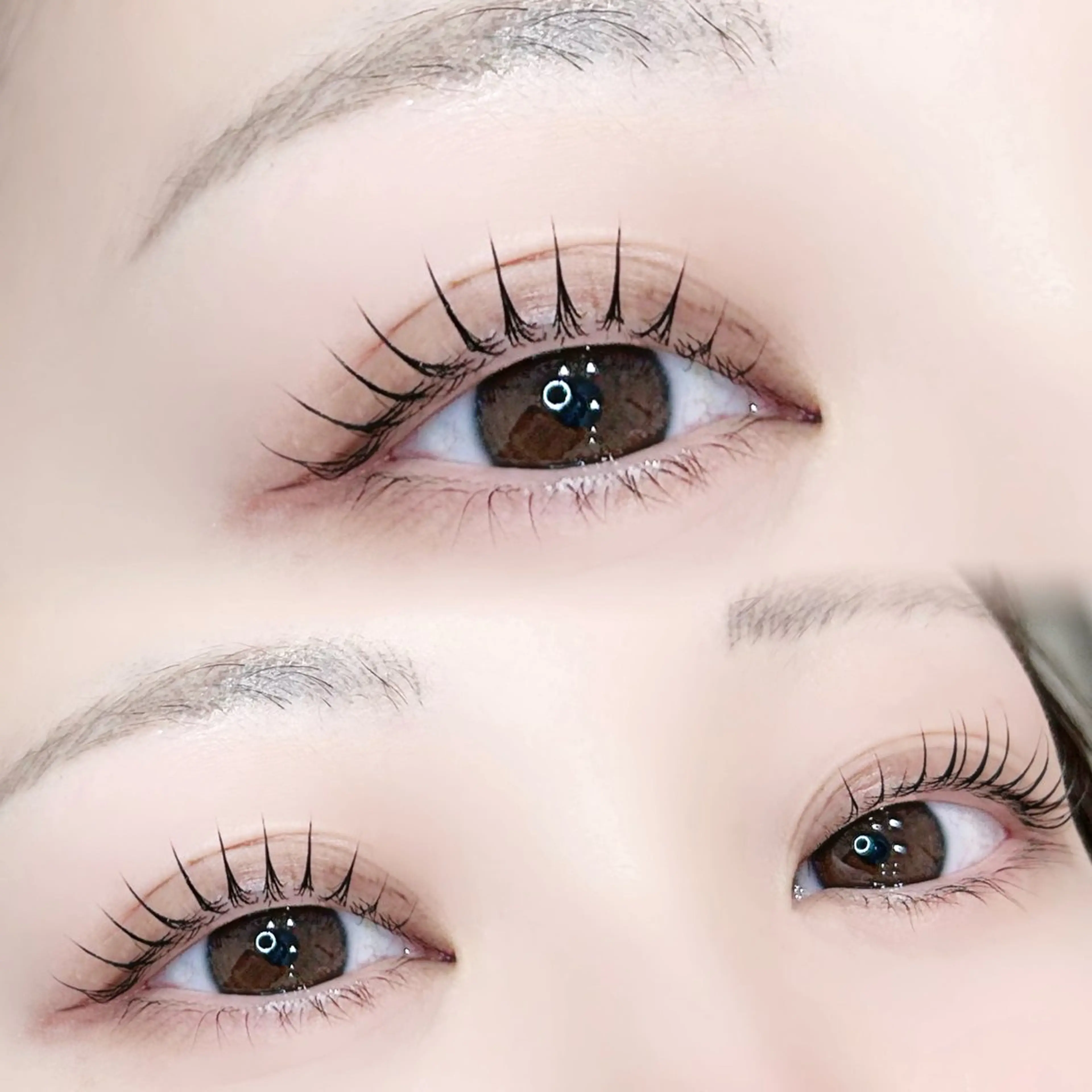 マツエク・マツパ マツパ HARIS店長🦋 Ishiguroのマツエク・マツパデザイン