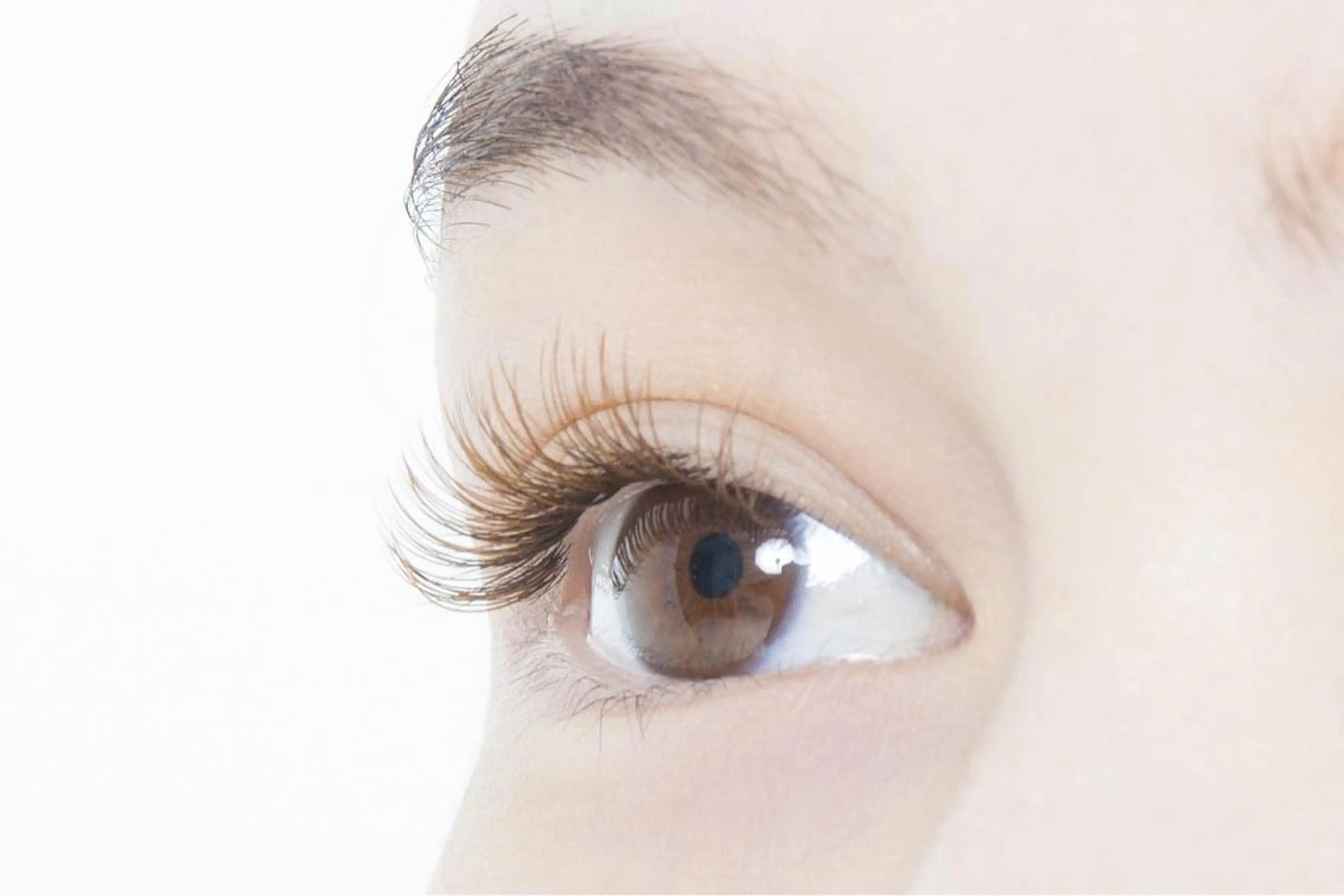 マツエク・マツパ 川野 莉子の眉毛・アイブロウイメージ