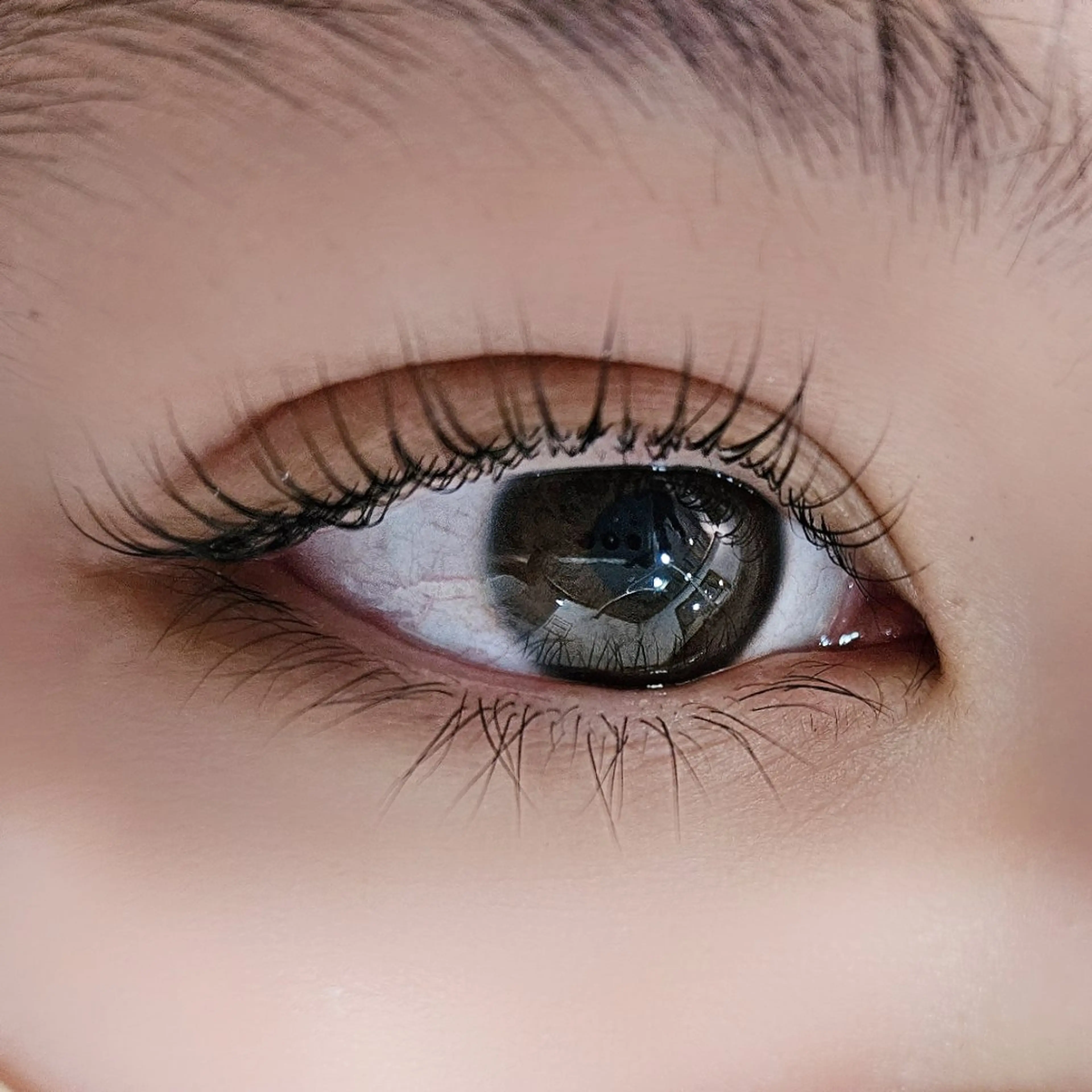 【初めてご来店の方】まつげパーマ　トリートメントケア付きの写真