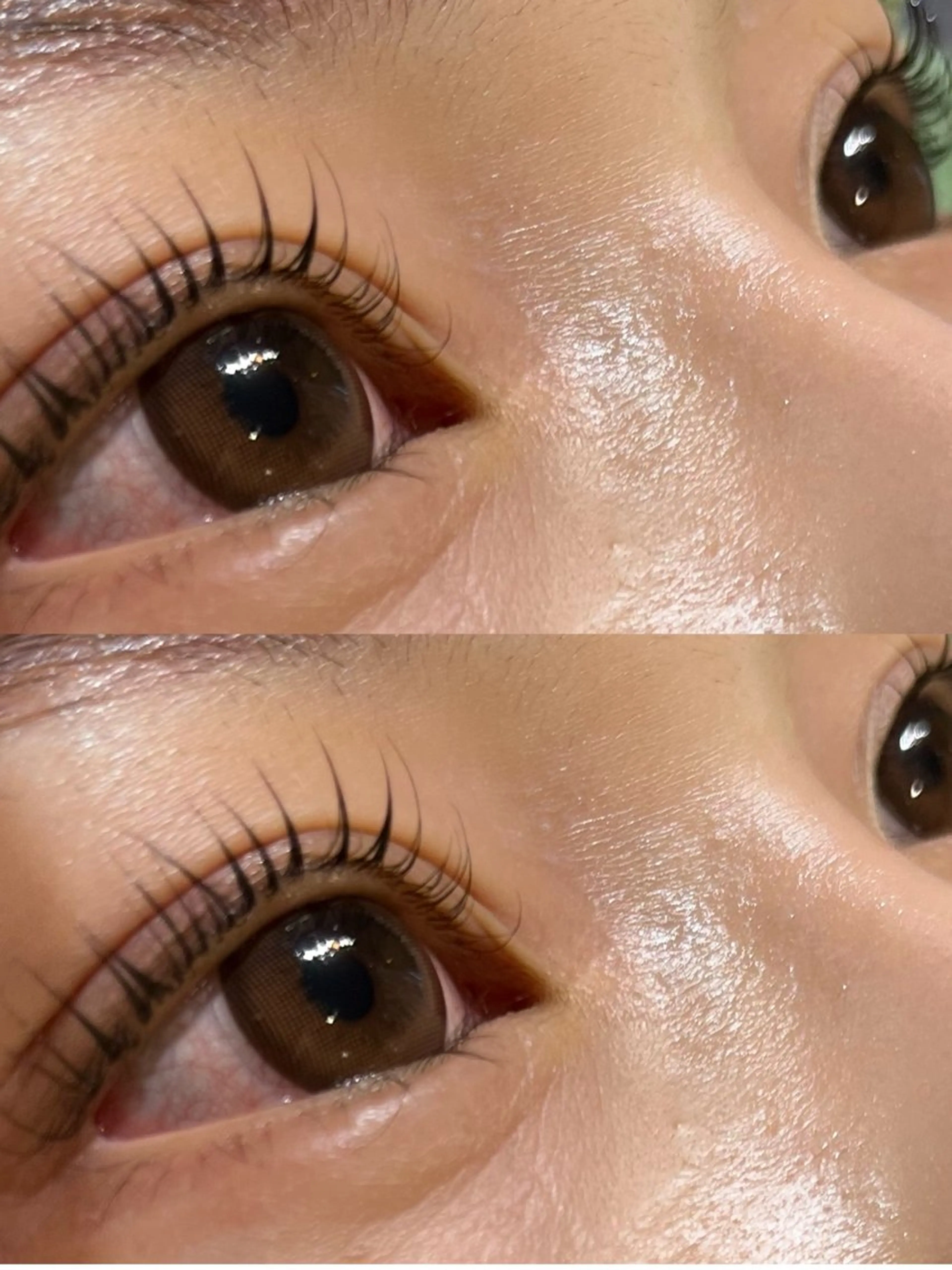 U24 学生さん限定まつ毛パーマ【アイシャンプー　コーティング仕上げ🧴🫧】の写真