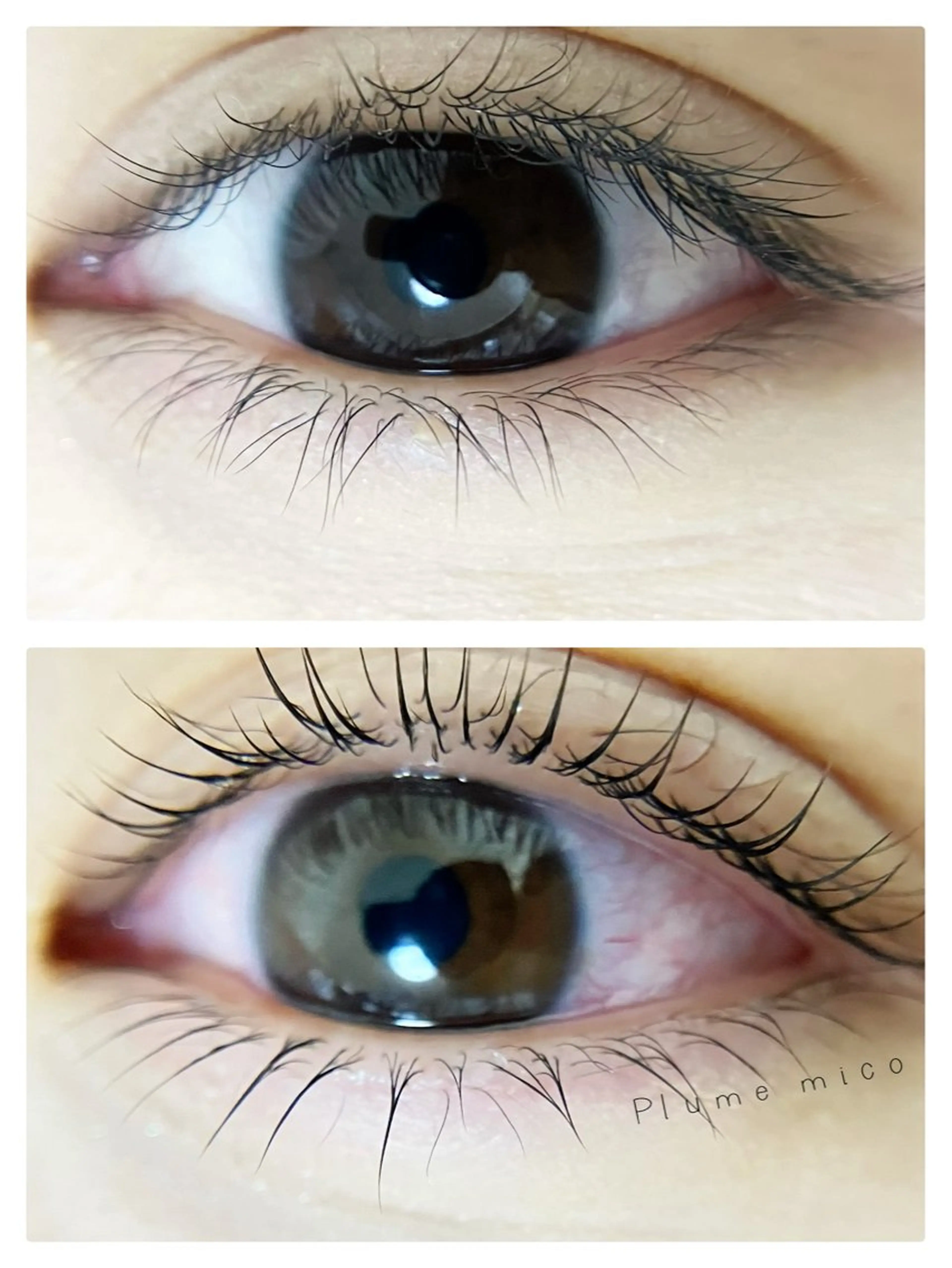 マツエク・マツパ マツパ Plume micoのマツエク・マツパデザイン