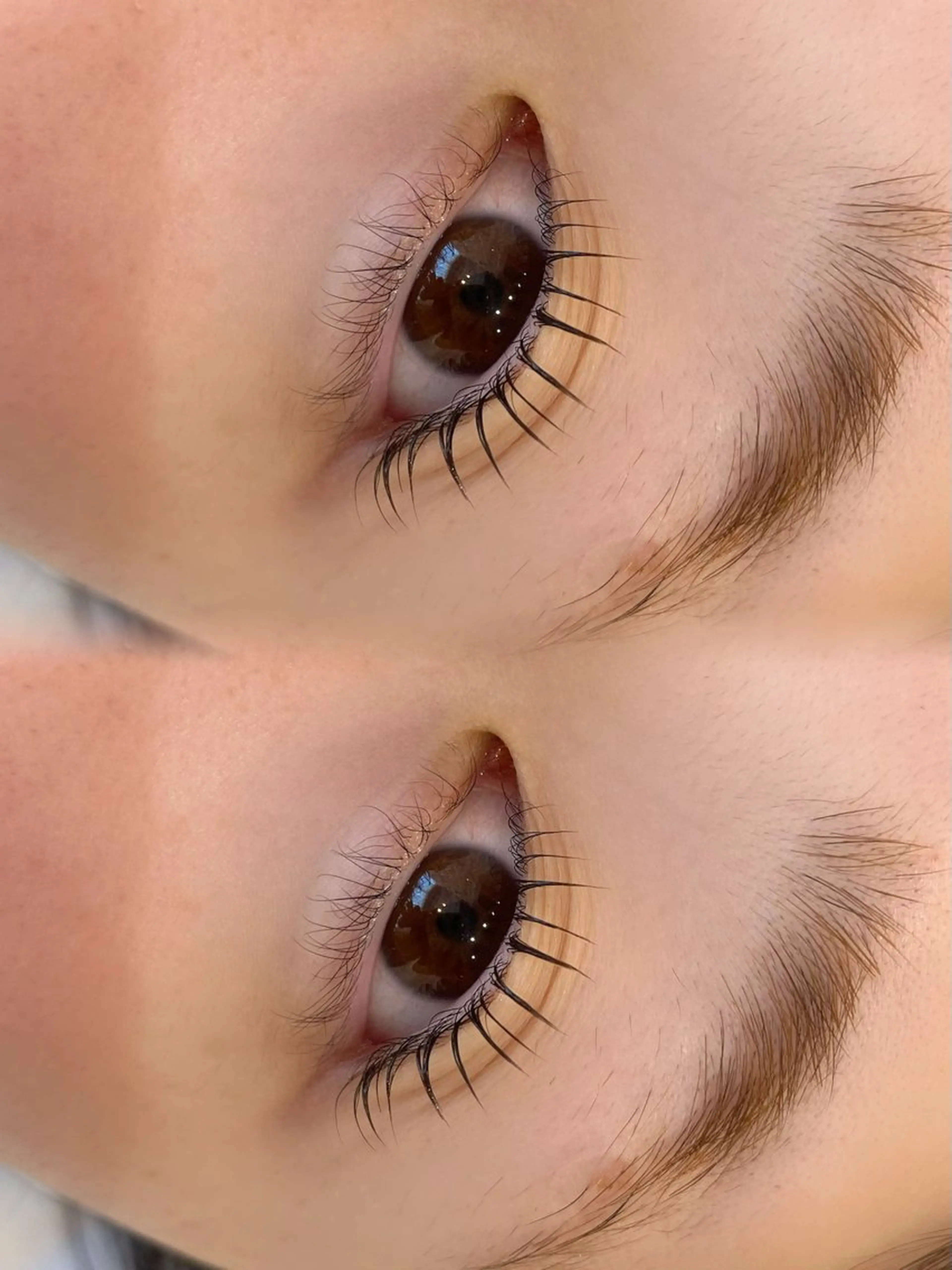 ラッシュリフト(上まつ毛パーマ)の写真