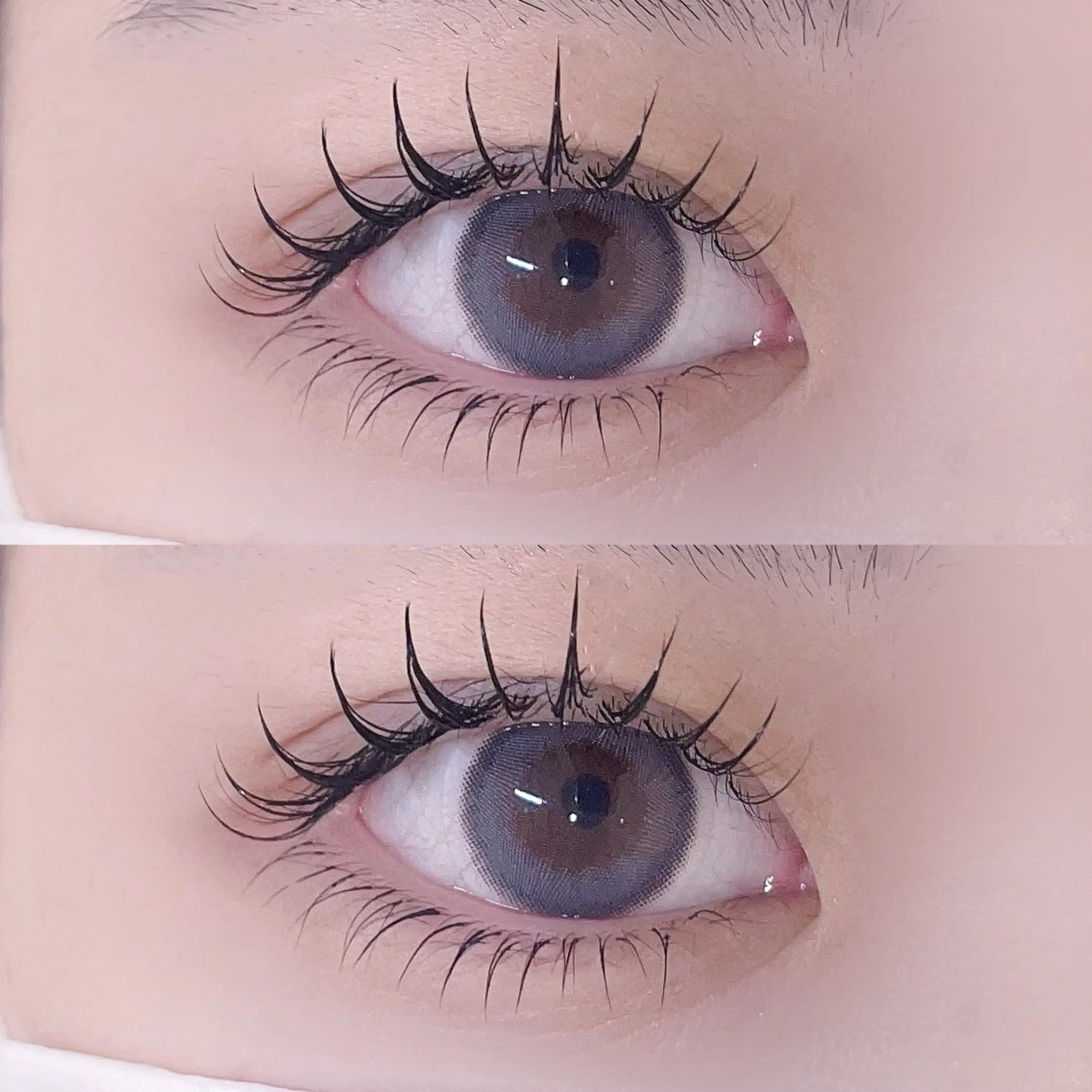 【️🩵2.3回目限定️🩵】フラットラッシュ100本まで オフ込み🛁*。の写真