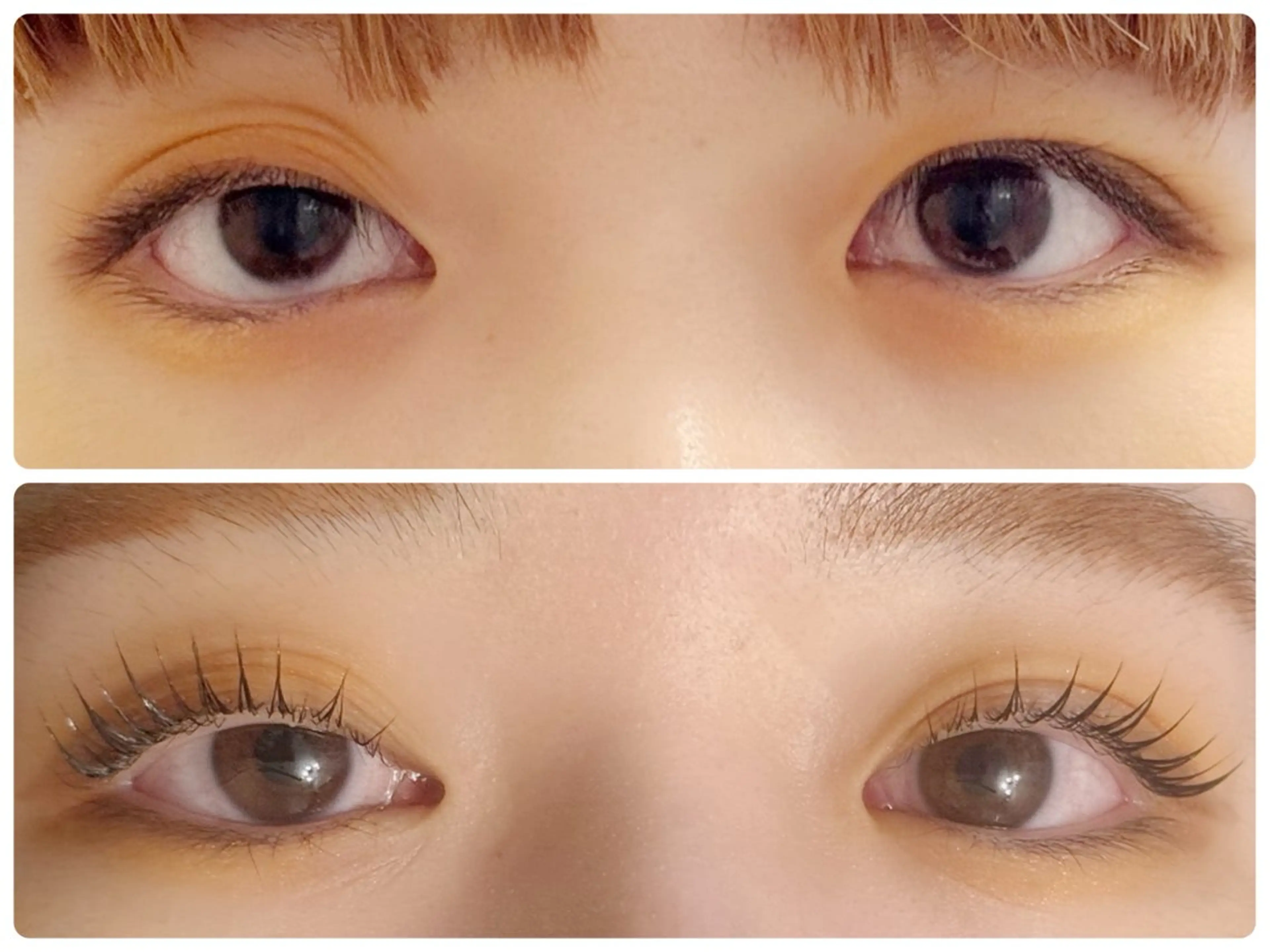 マツエク・マツパ 紬麦所属・藤井 しほの眉毛・アイブロウイメージ