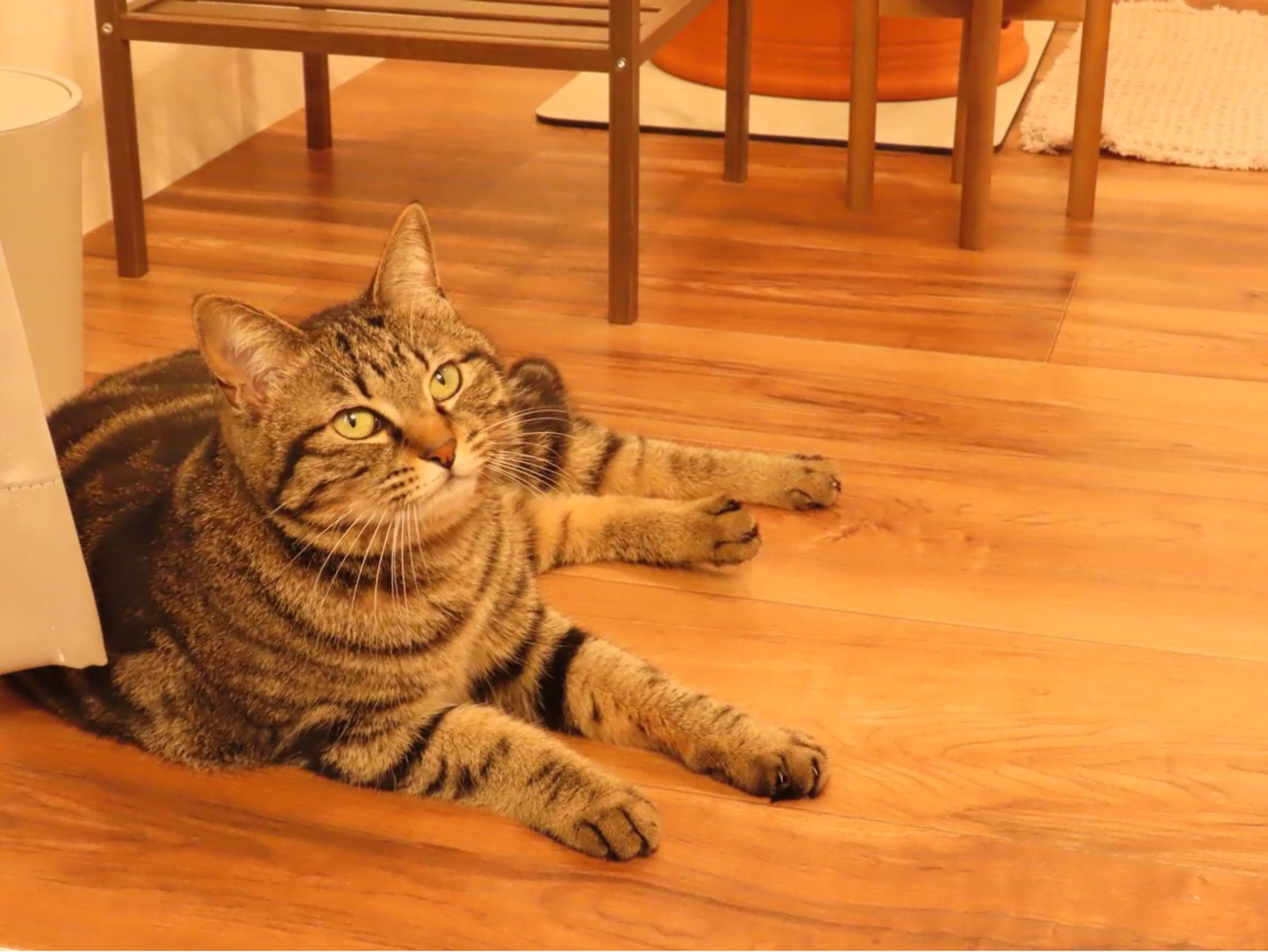 黄土漢方蒸しサロン Caloreのエステ・リラクイメージ