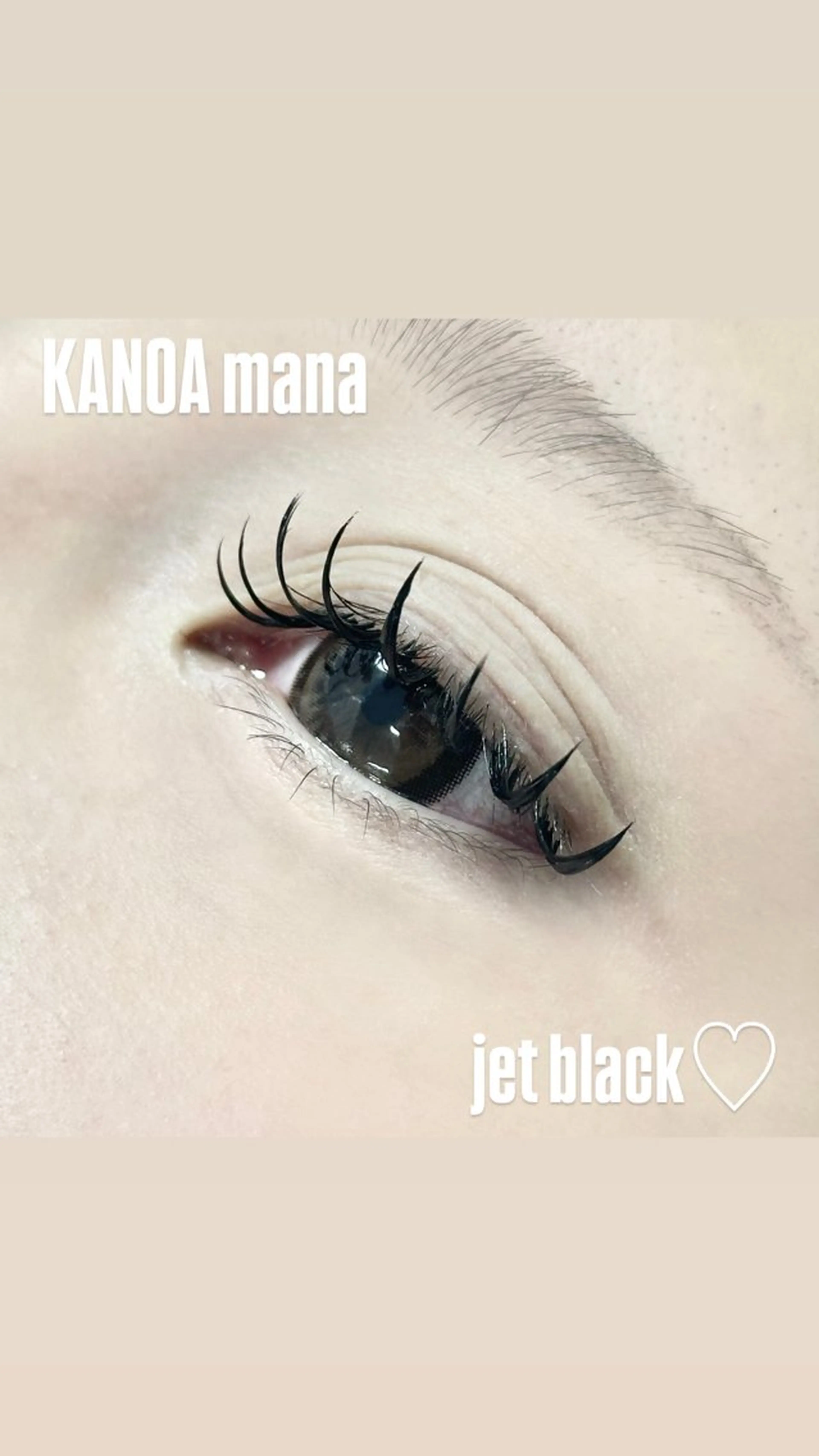 🦋minimo限定🦋ジェットブラック✨60束《プラス550円で束感仕上げ》の写真