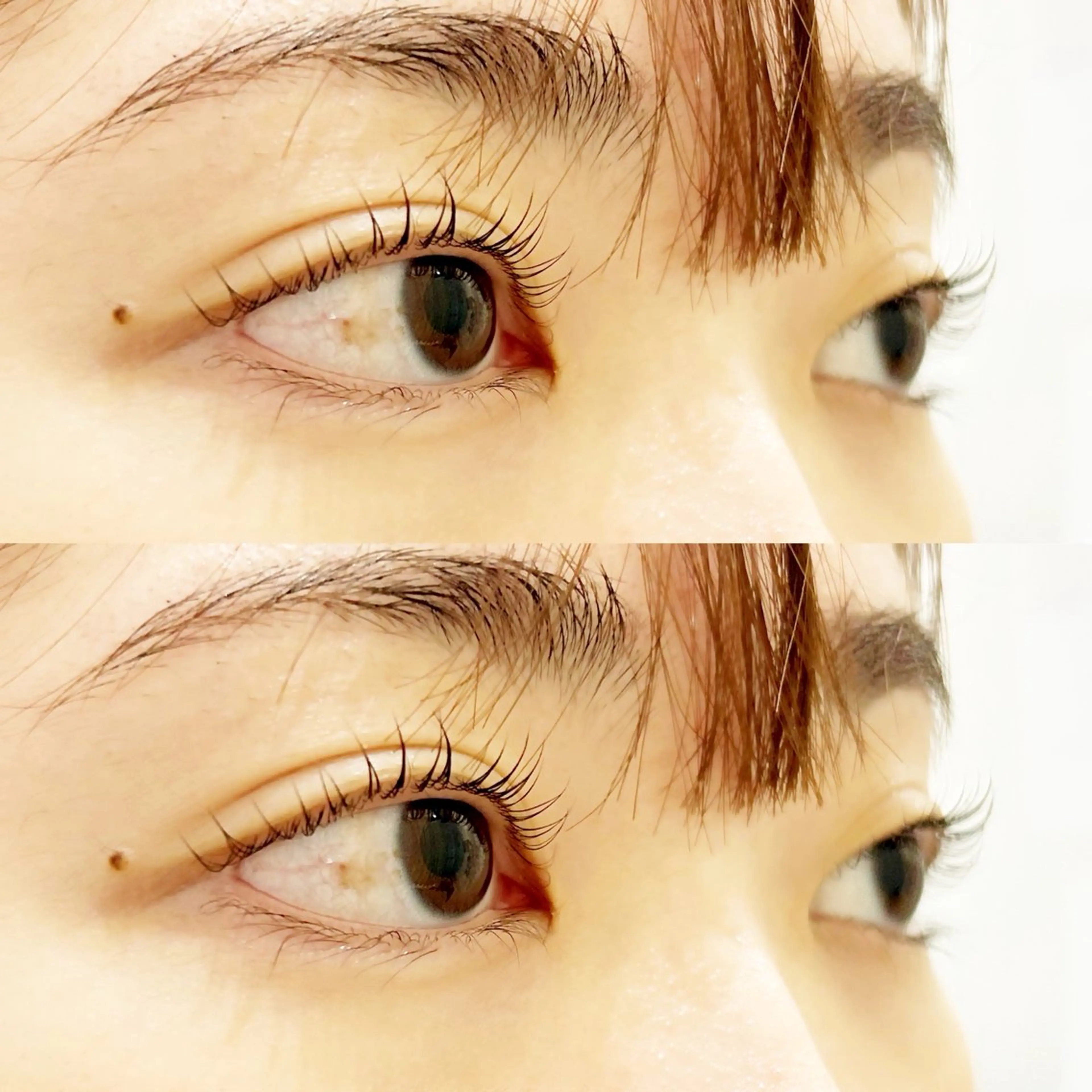 マツエク・マツパ 一重×まつ毛パーマ Ando🌙 eyelistのマツエク・マツパデザイン