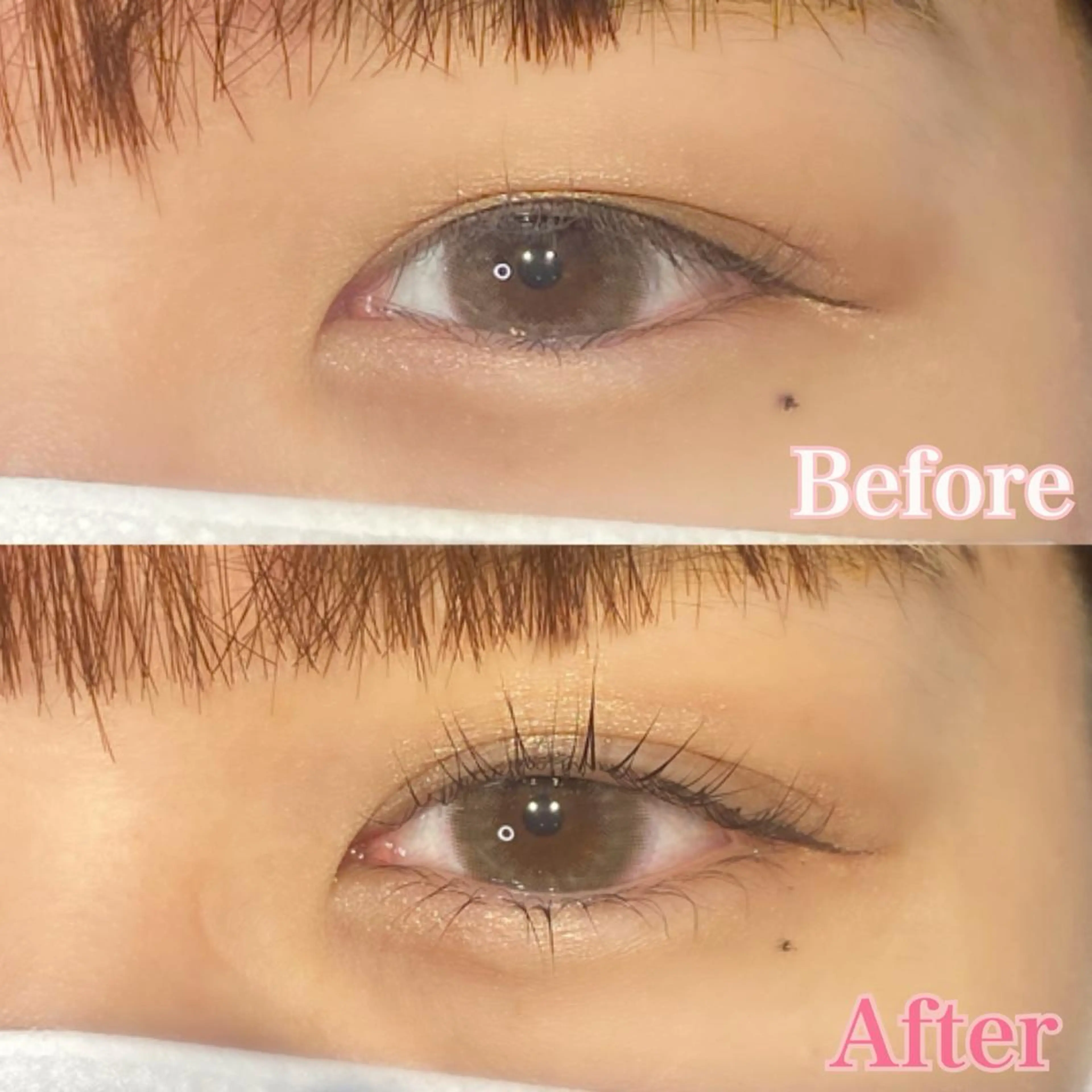 マツエク・マツパ マツパ 【LILY】伊沢/ バインド/パリ/エクのマツエク・マツパデザイン