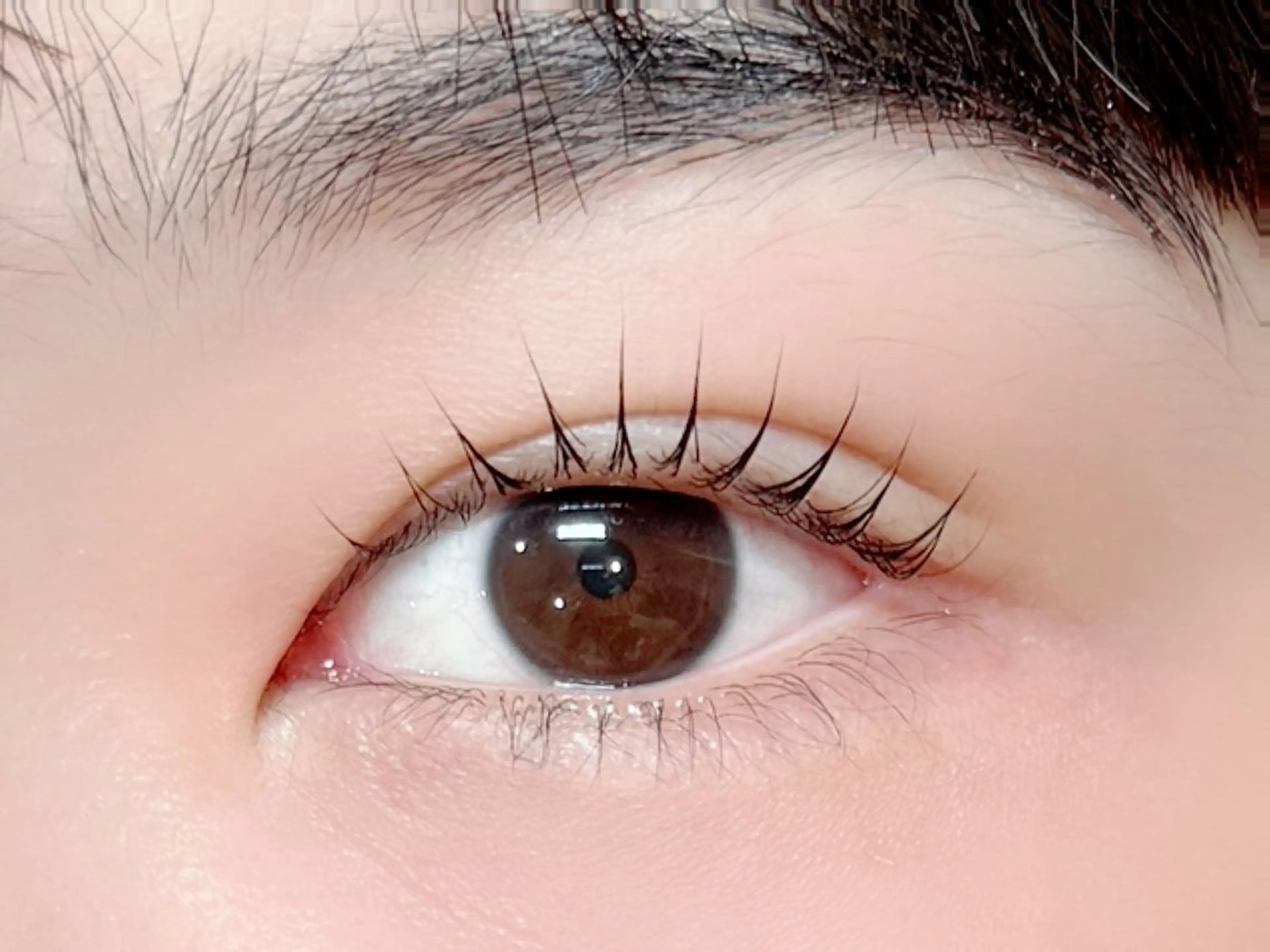 マツエク・マツパ フラットラッシュ パリジェンヌラッシュリフト まつげパーマ I'LL 神戸三宮by kaminowa所属・Tomo I’LL神戸三宮のマツエク・マツパデザイン