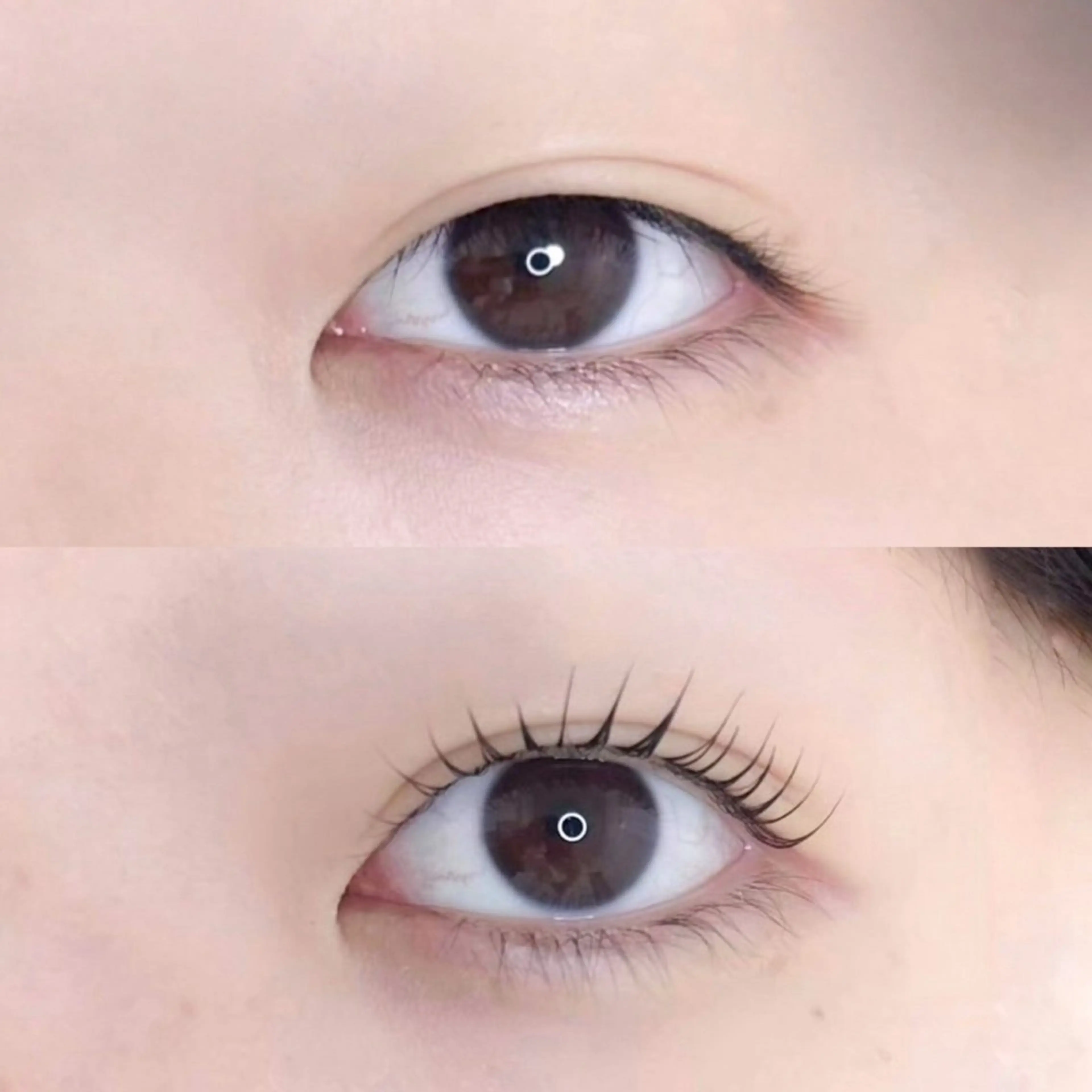 マツエク・マツパ マツパ アイブロウ33 薬院店のマツエク・マツパデザイン