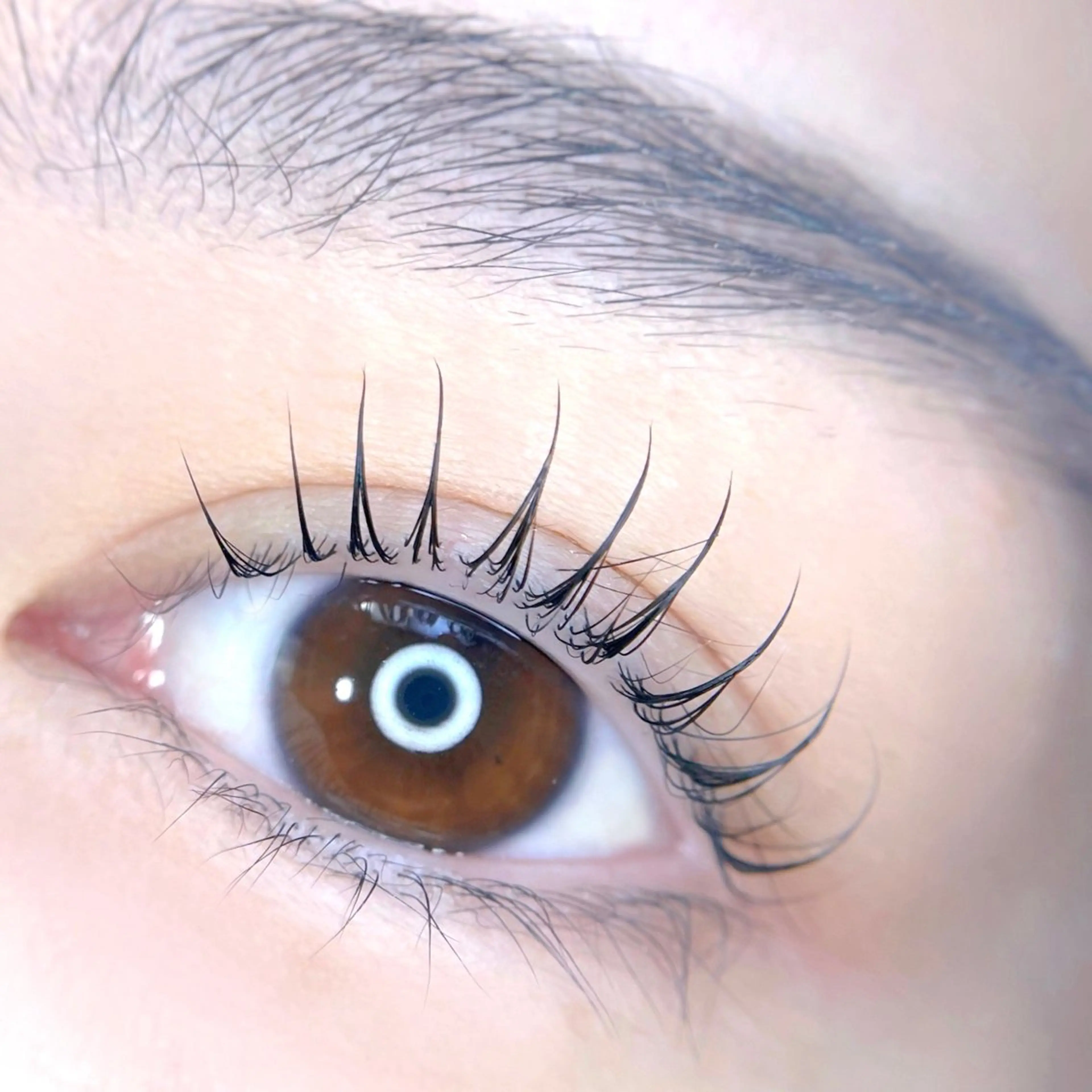 まつ毛パーマ(上下)の写真